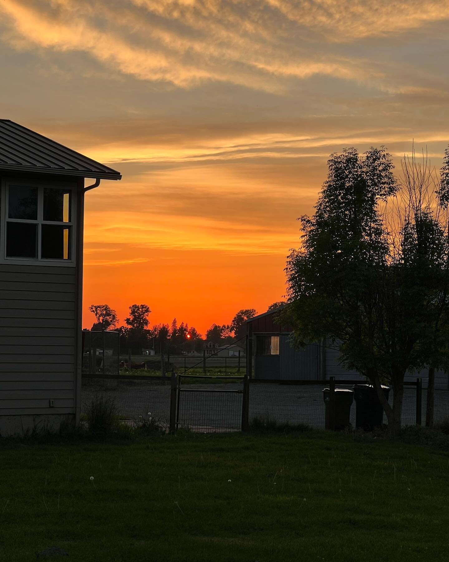 How&rsquo;s your sunset tonight?  End of another good day here at the farm.
#farmlife #dranndeun #skagitvalley
