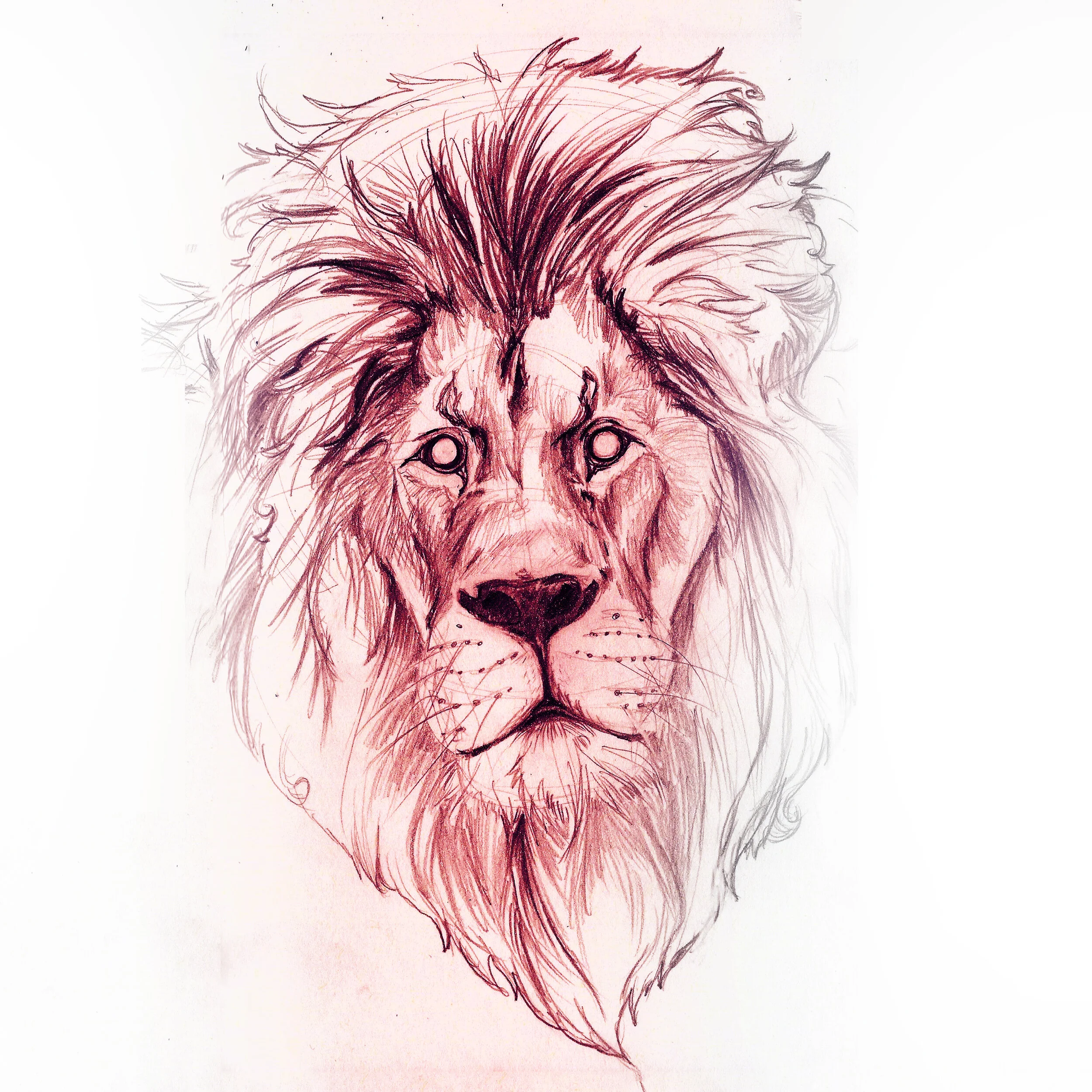 lion large 2_ Corinne Hansen.jpg