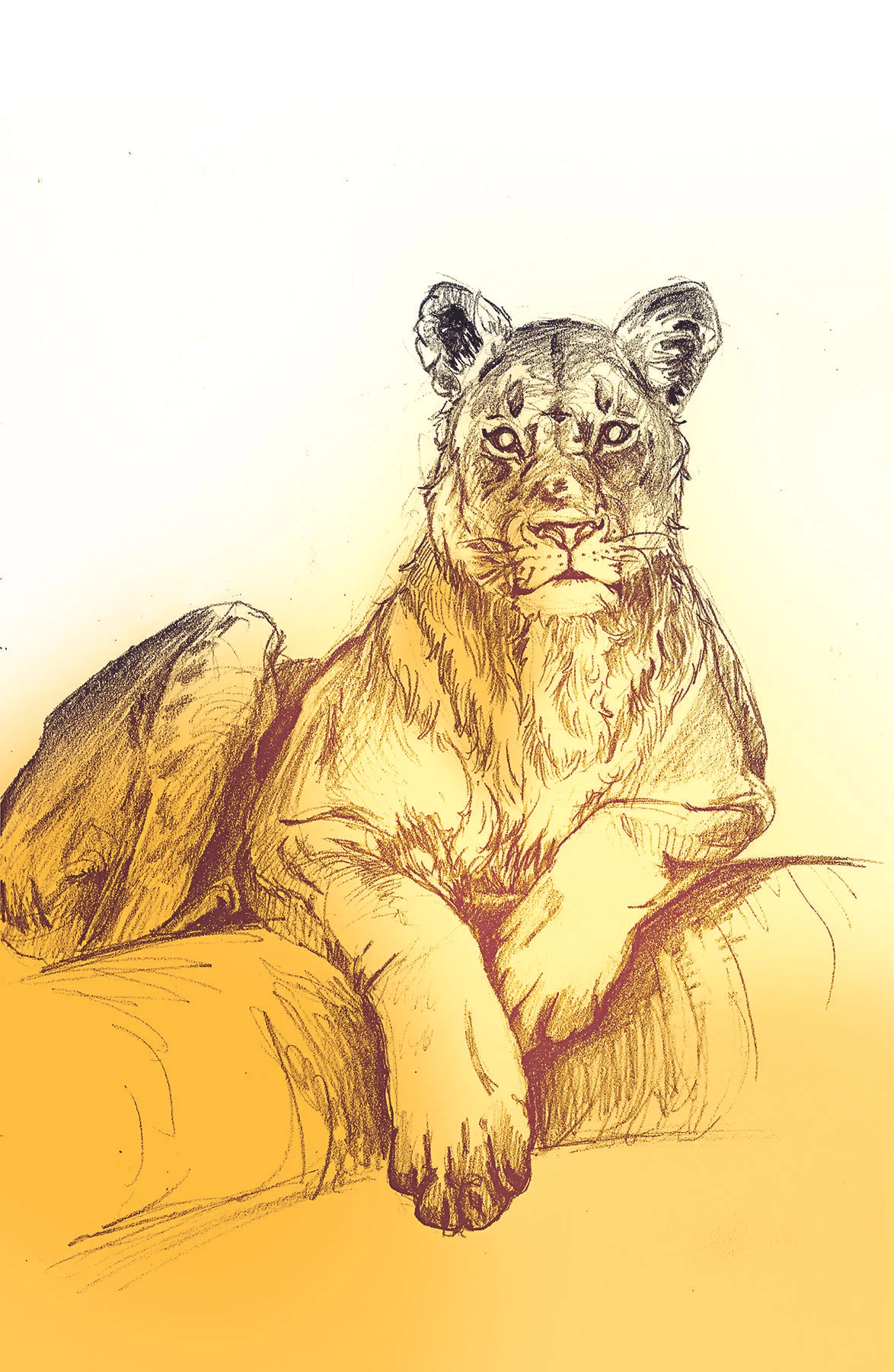 08 Equanimity Lion Print Corinne Hansen.jpg