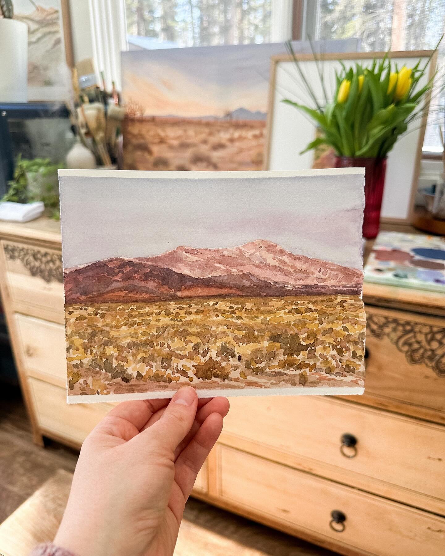 While visiting Joshua Tree National Park last winter I was captivated and awestruck by the vast colours of the Mojave Desert, even in winter. We were surprised at how cold the desert was in January. My Canadian children thought surely they&rsquo;d be