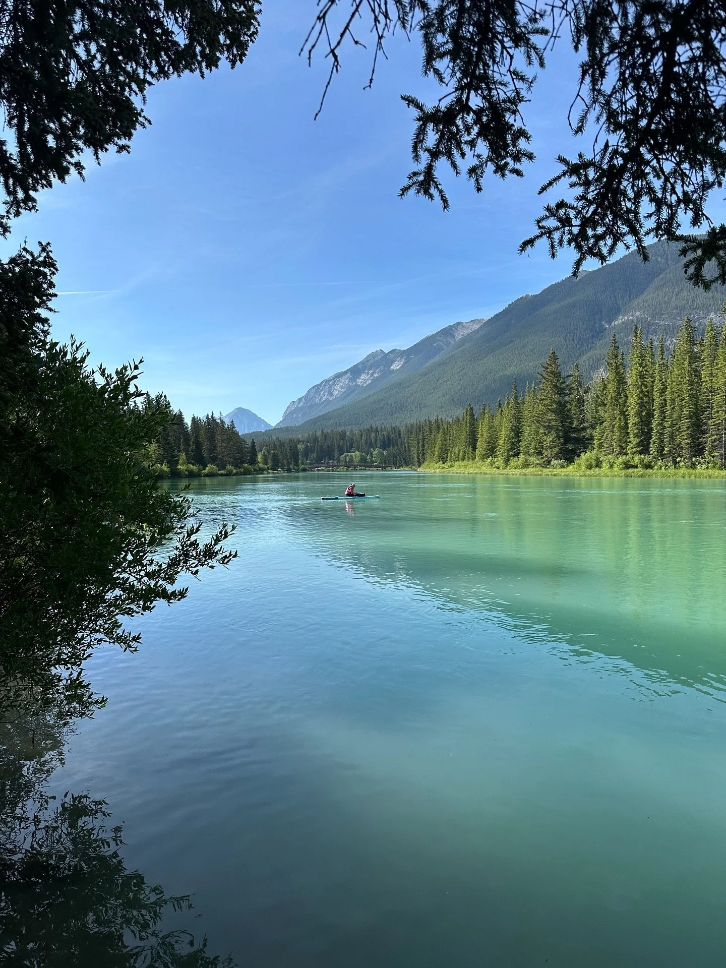 July was such a great month, I can&rsquo;t believe it&rsquo;s over already! A few highlights:
⠀⠀⠀⠀⠀⠀⠀⠀⠀
1. Weekly visits to Banff for the market. 
2. Celebrating my birthday with my dear friends and family. 
3. Your generous support during my annual 