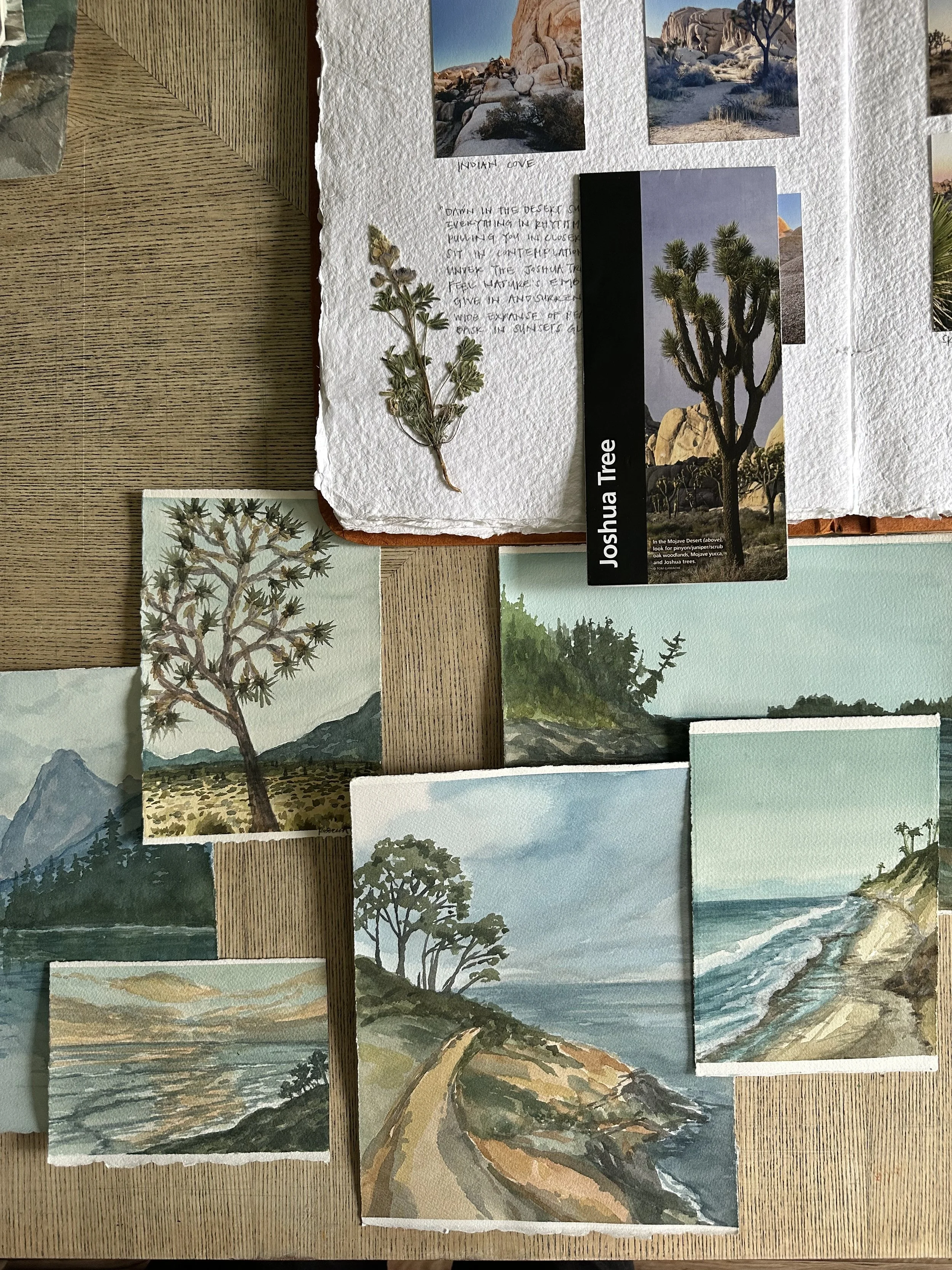 A Flatlay of numerous original watercolour landscape paintings with sketchbook and a travel brochure of Joshua Tree National Park