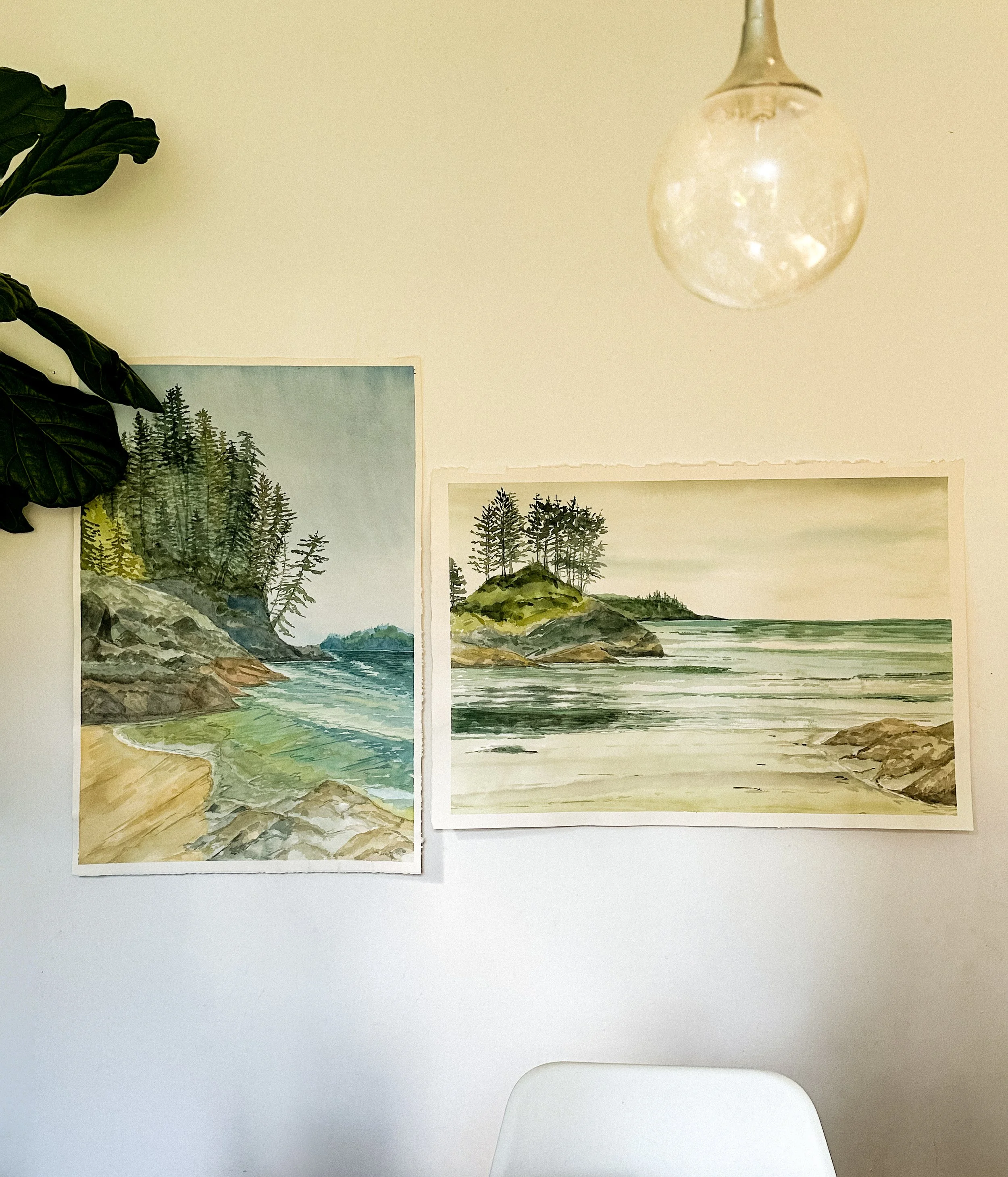 Wild Pacific Collection.jpg