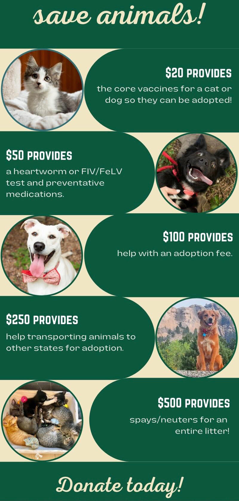 Our Story — Footbridge Foundation - San Antonio Animal Rescue and Pet  Adoption Service.