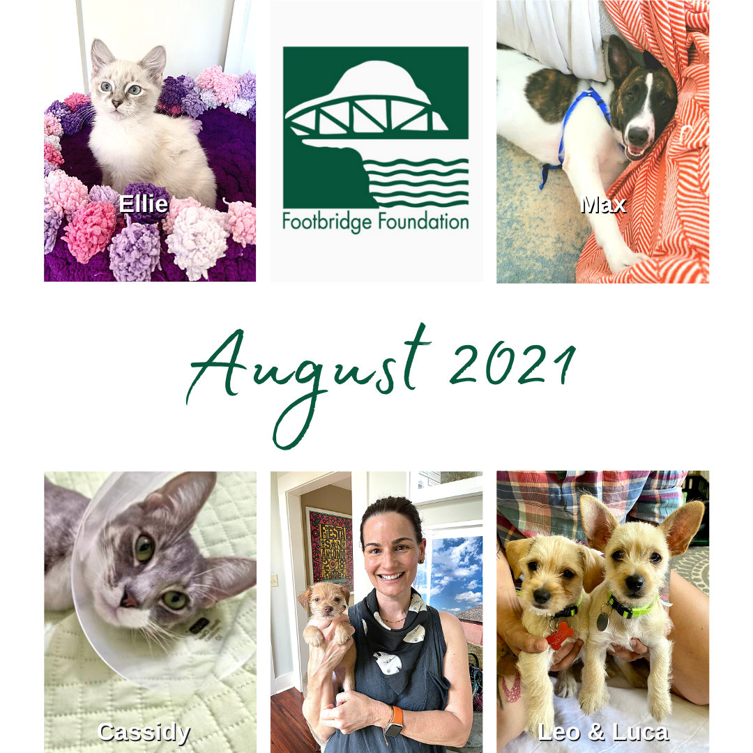 August 2021 Newsletter Header.png