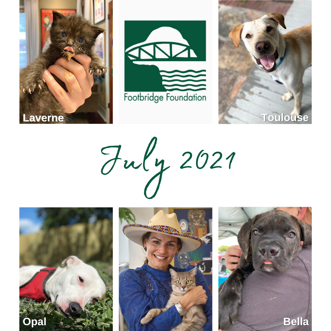 NEW - July 2021 Newsletter Header.png