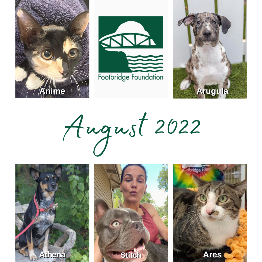 August 2022 newsletter banner.png