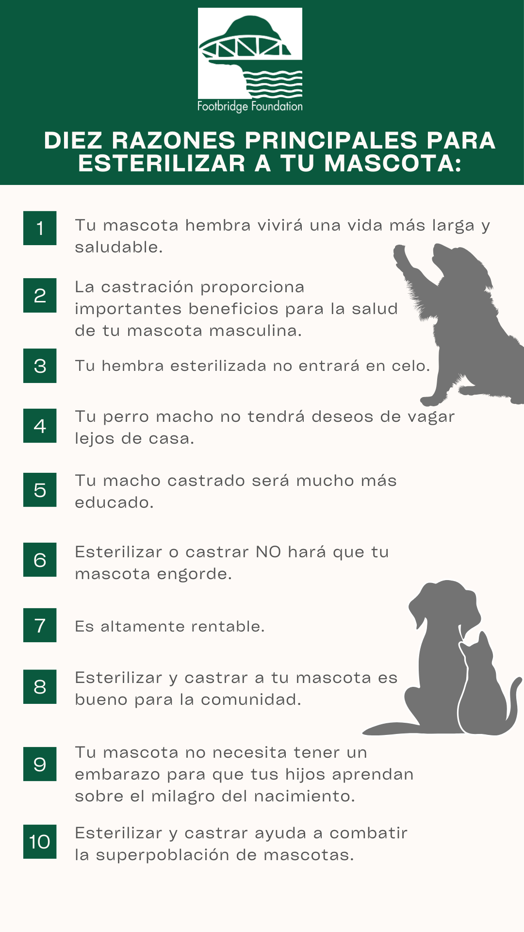 Top Ten Reasons to Fix Your Pet Spanish.png
