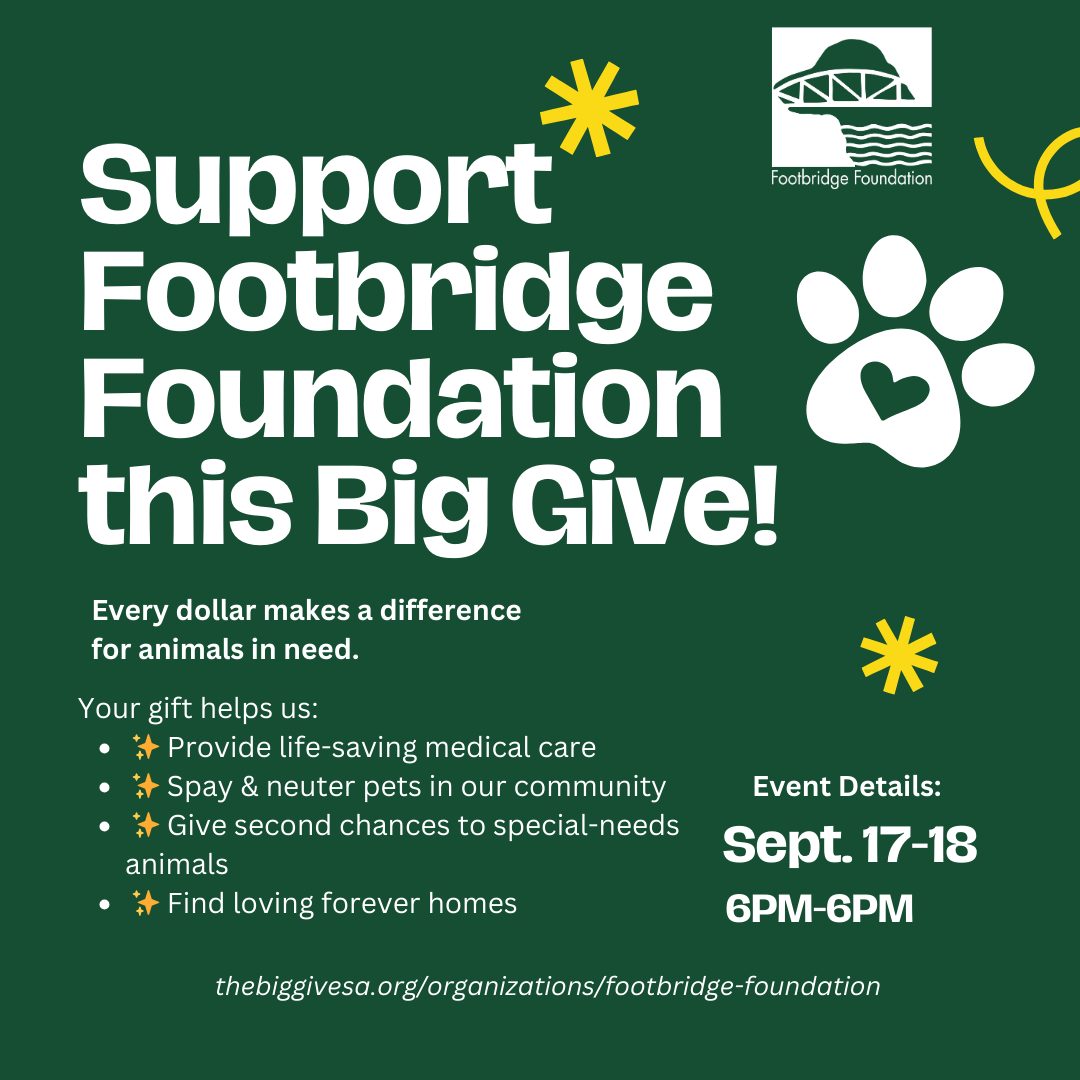 🐾 The Big Give is Here – Support Footbridge Foundation! 🐾