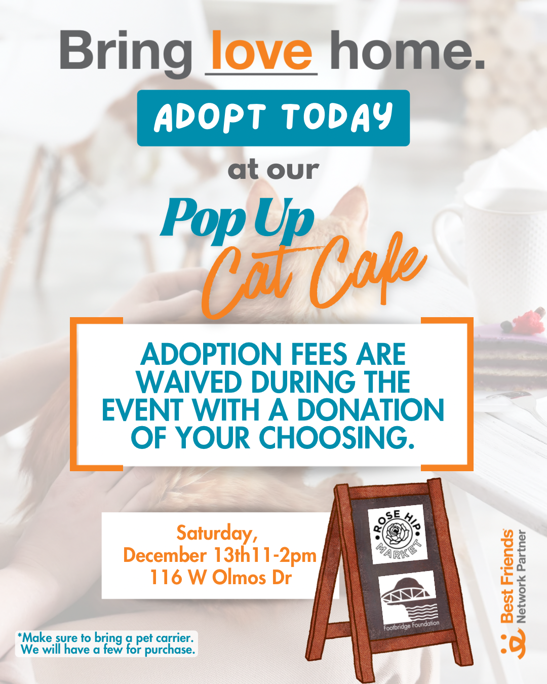 🐾 Cat Café Pop-Up! ☕🐱