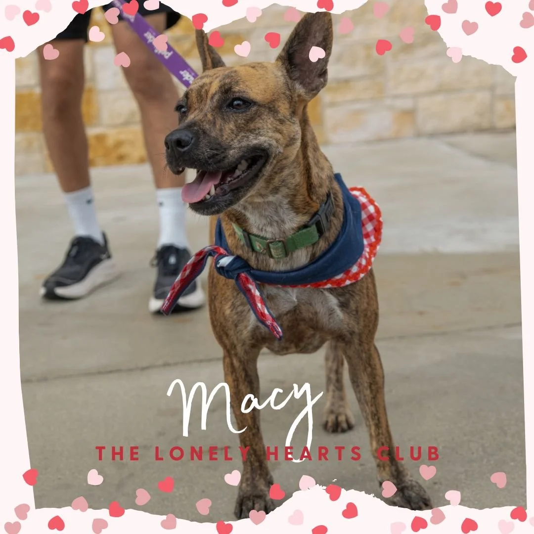 Macy