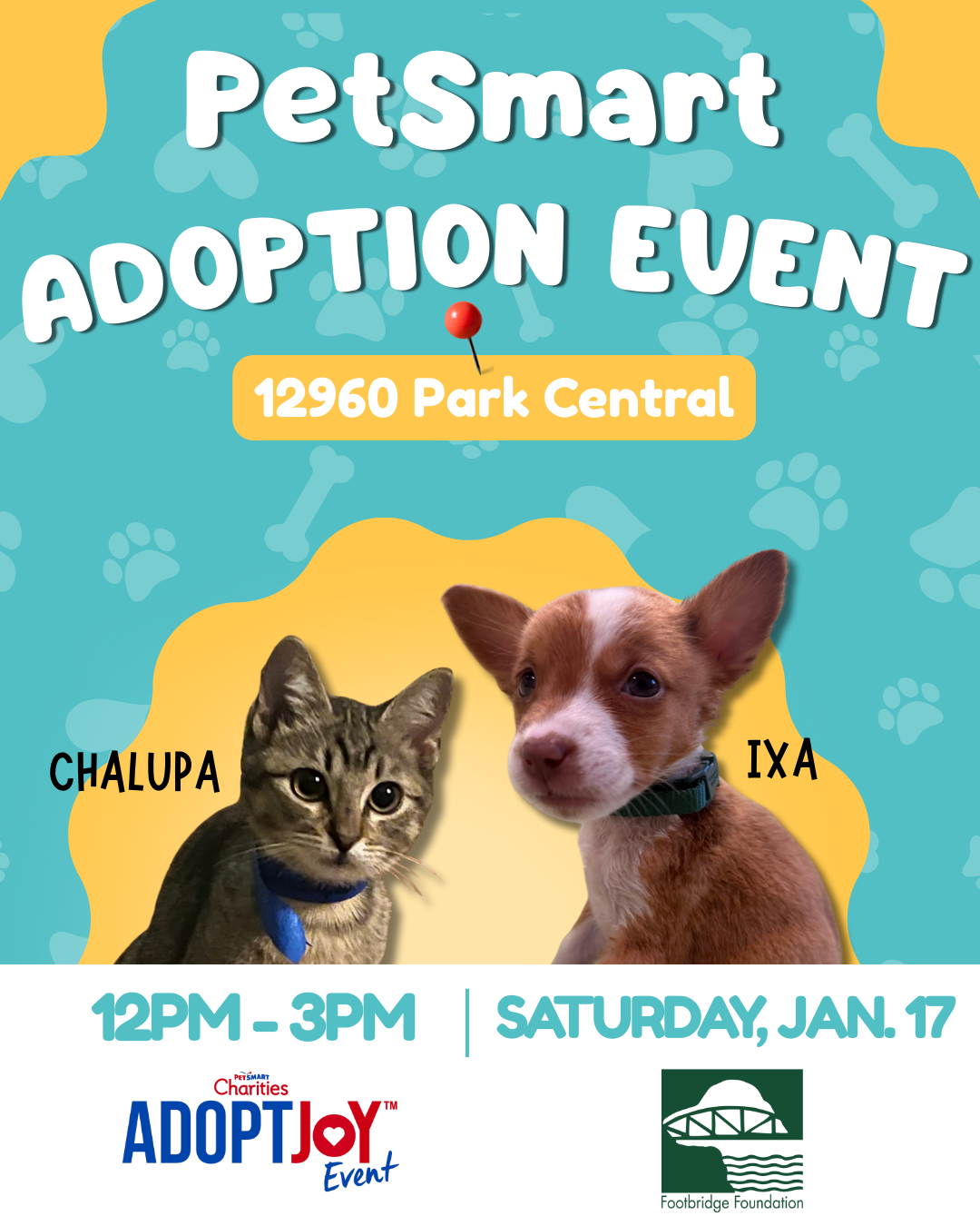 PetsSmart Adoption Event
