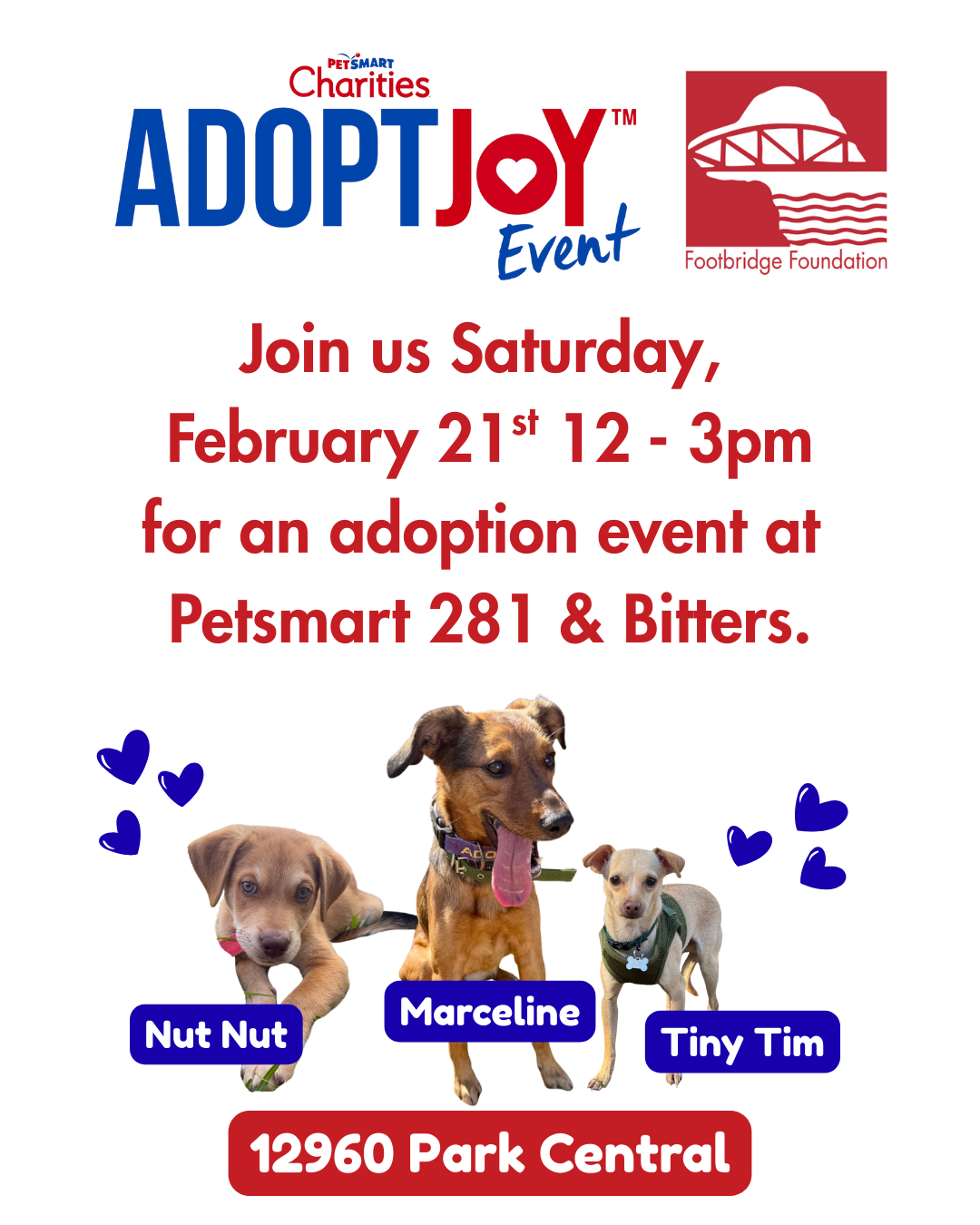 ADOPT JOY  Event @ PetSmart