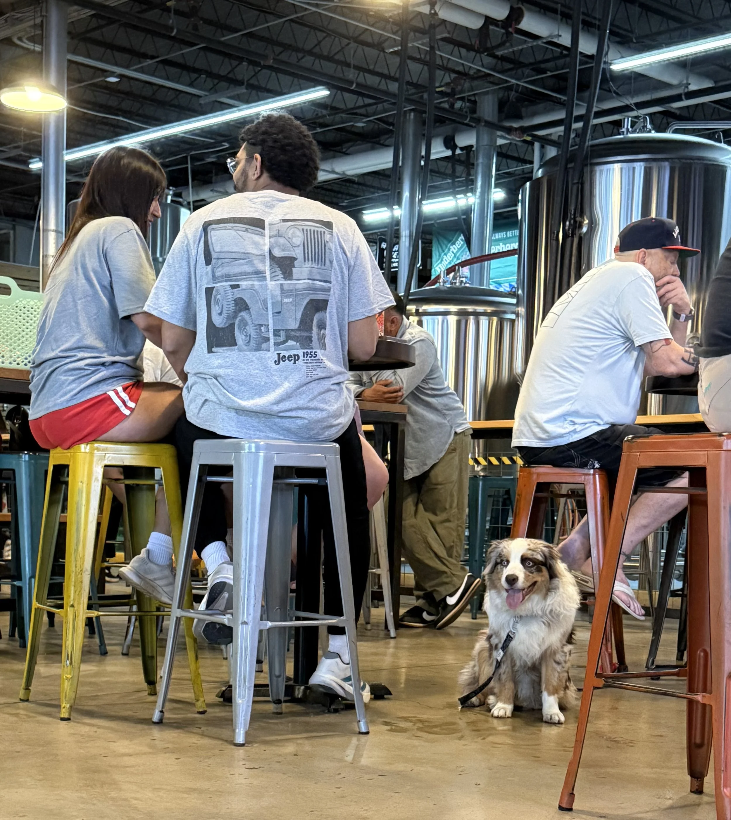 Foster Mixer at Roadmap Brewing 🍻