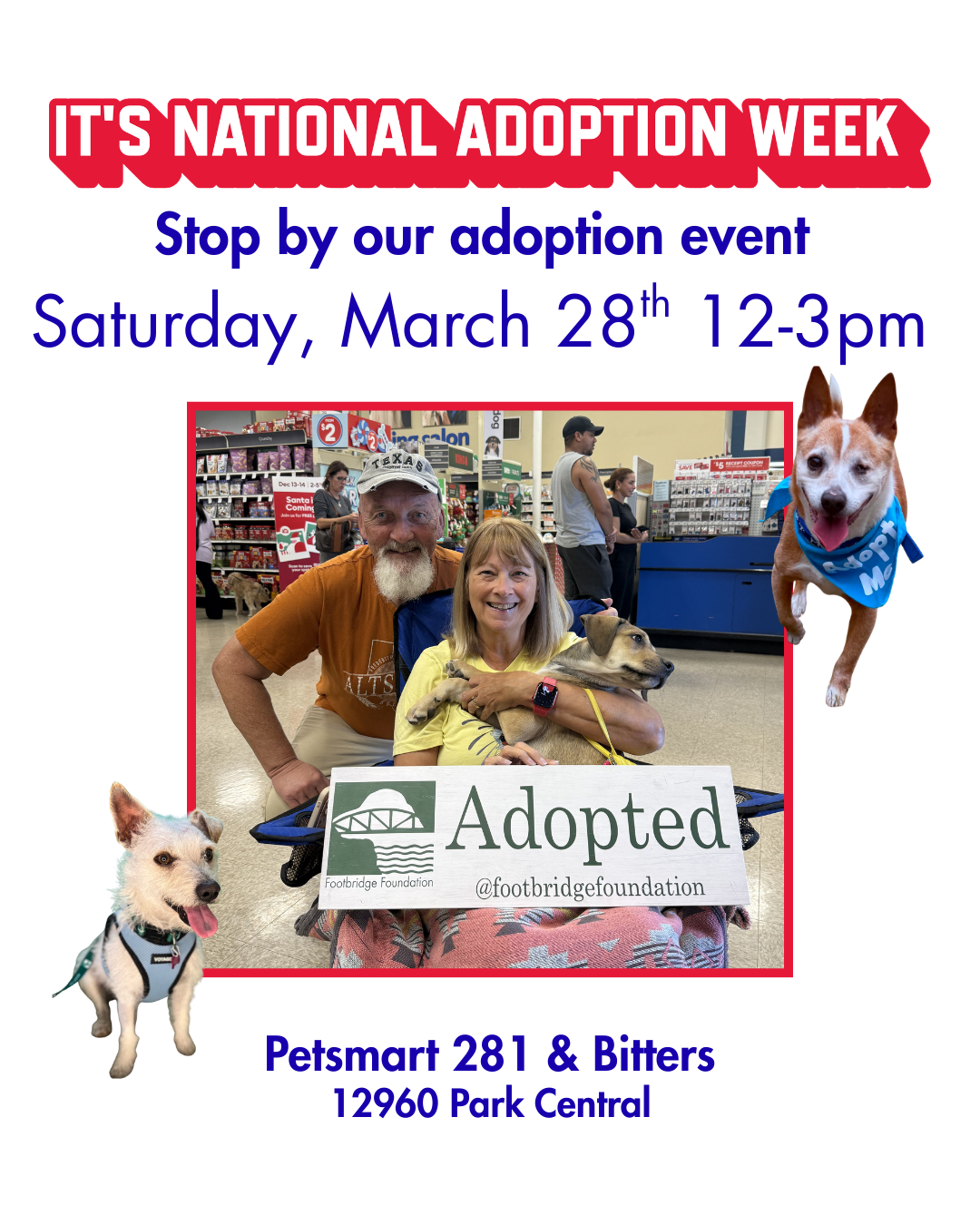 Petsmart 281 &amp; Bitters Adoption Event for NATIONAL ADOPTION WEEK 