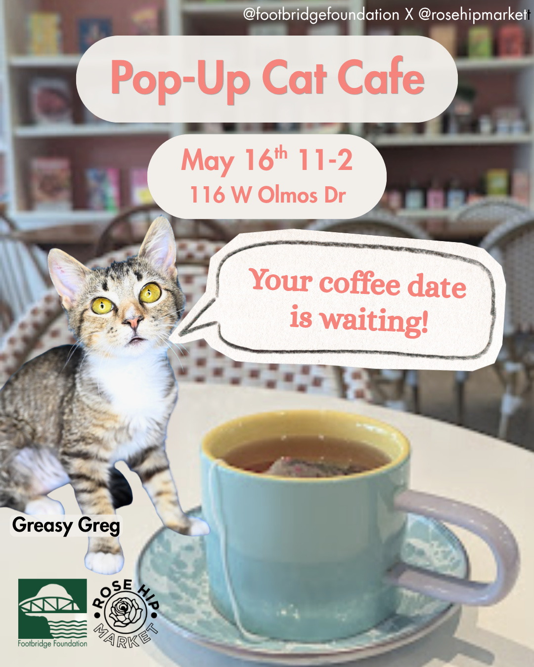 Pop-Up Cat Cafe with Rose Hip Market