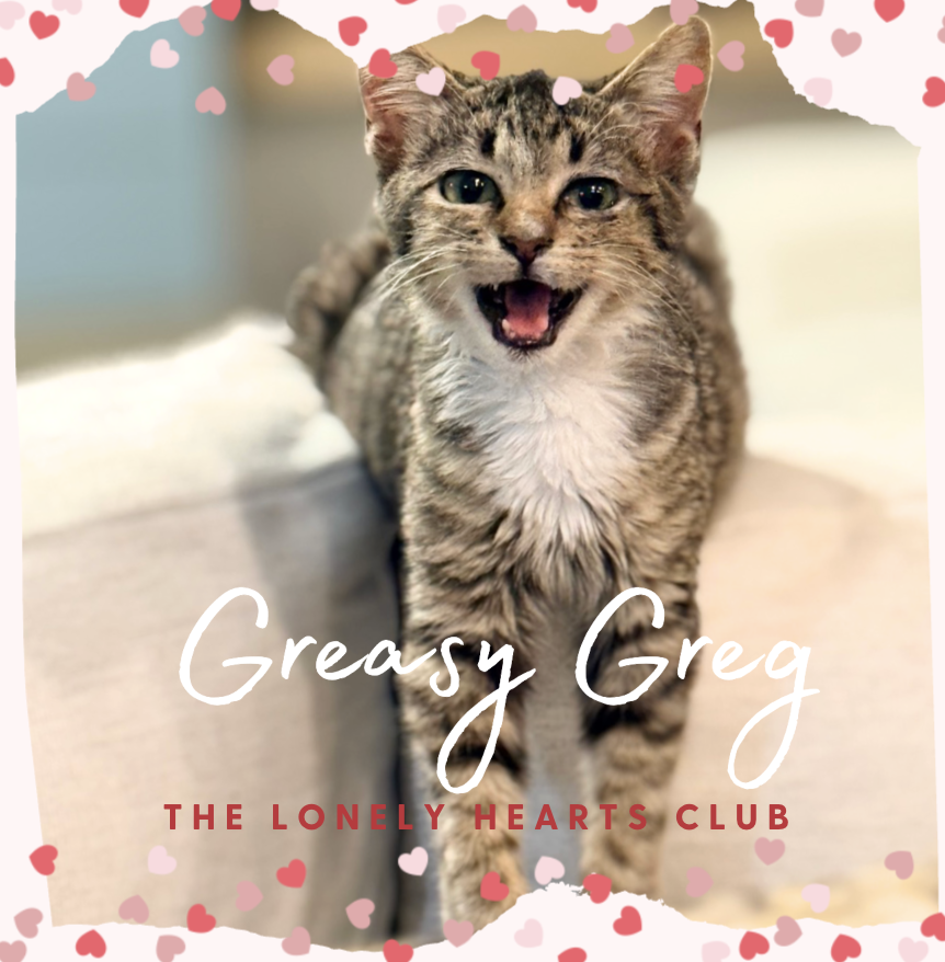 Greasy Greg