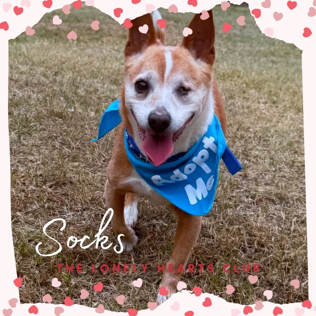 Socks