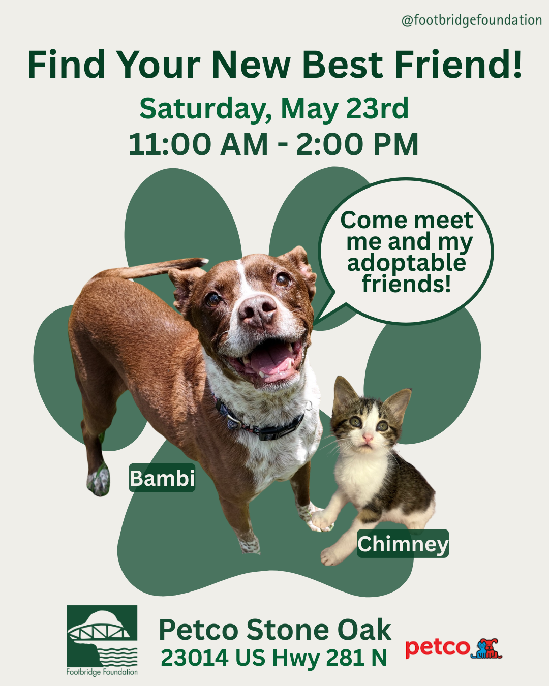 Petco Stone Oak Adoption Event