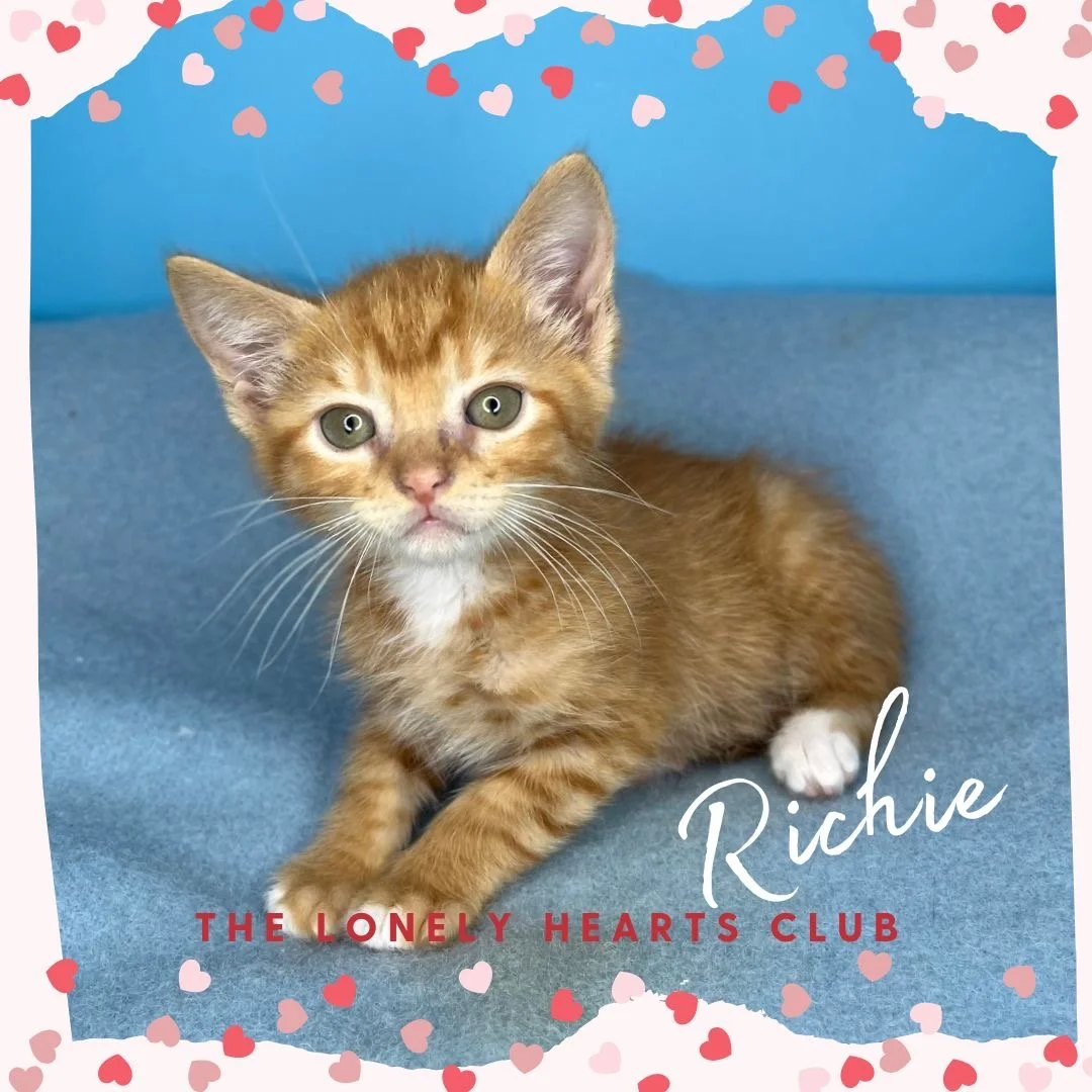 Richie