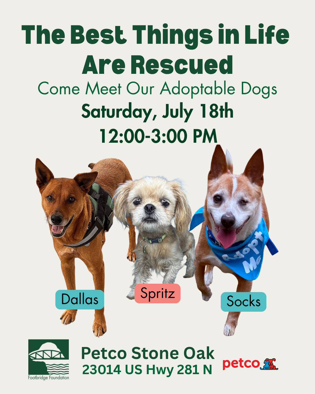 PetSmart Adoption Event at 281 &amp; Bitters