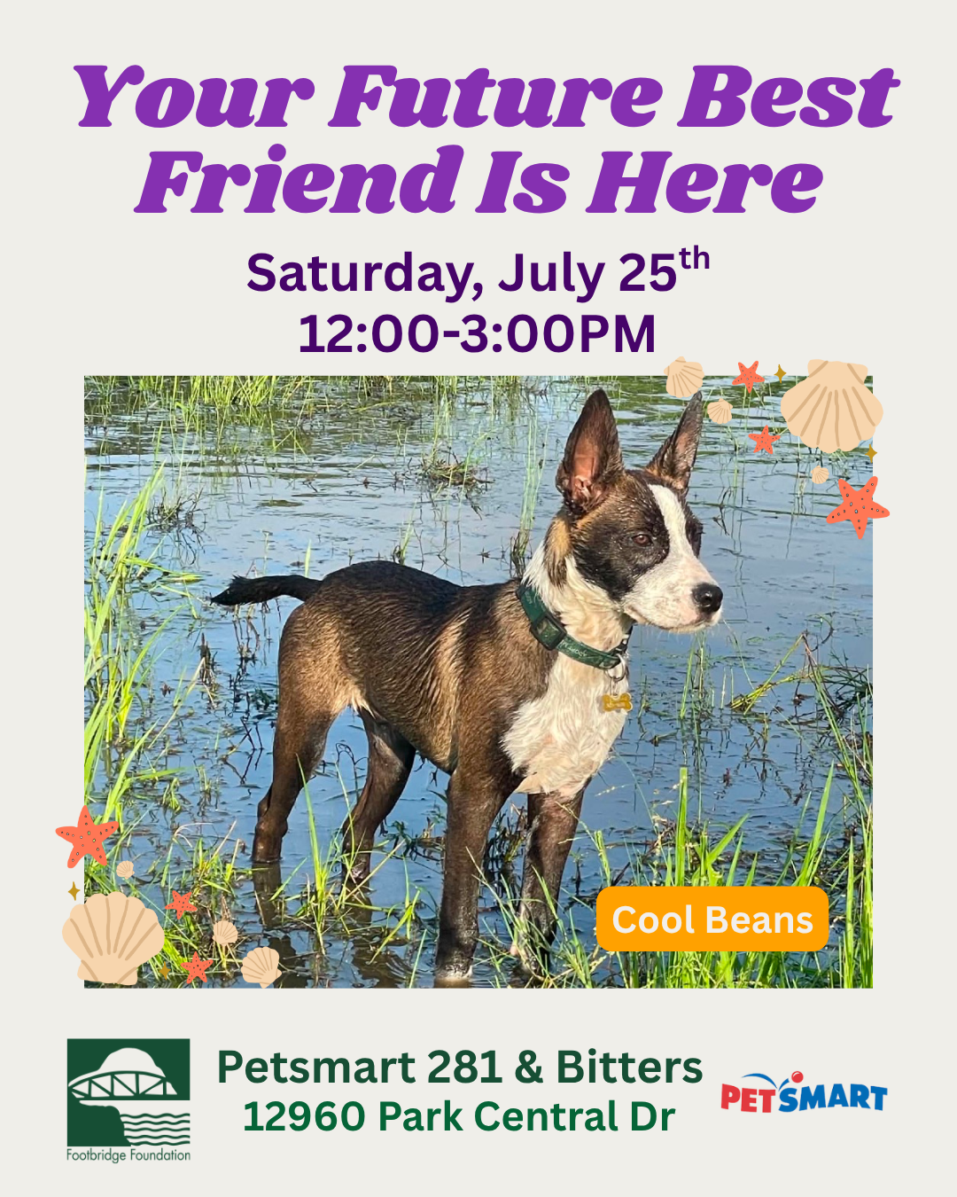 Petco Stone Oak