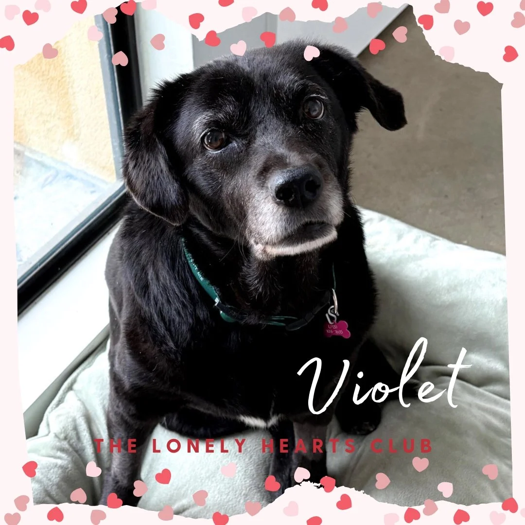 Violet
