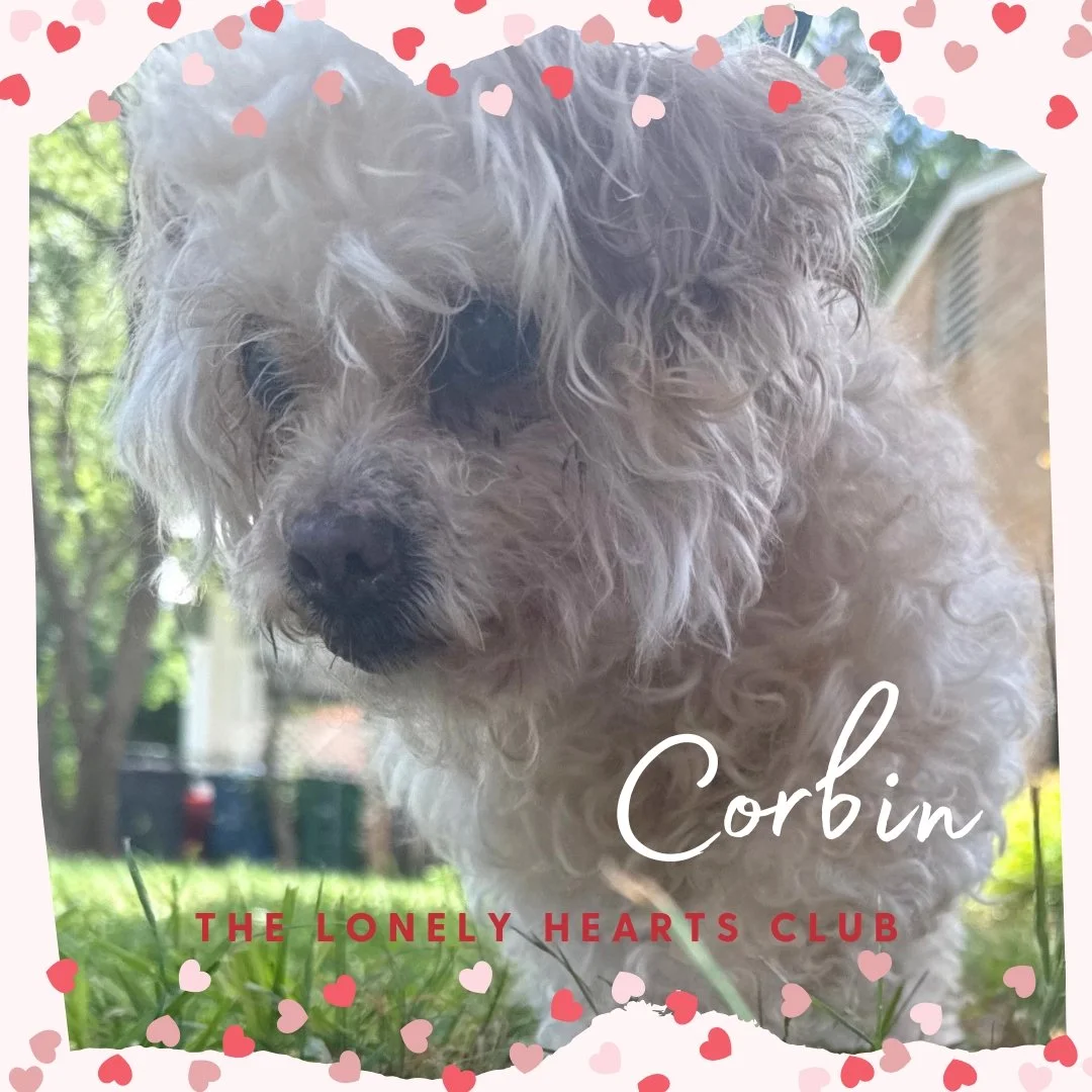 Corbin