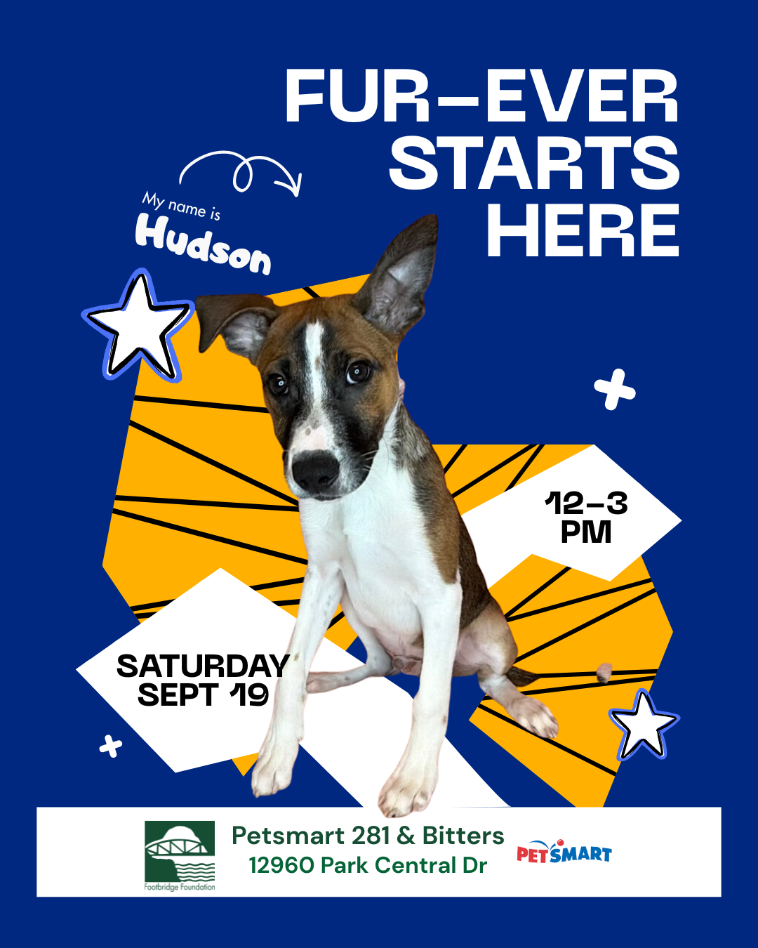 FUR-EVER STARTS HERE | PETSMART Adoption event