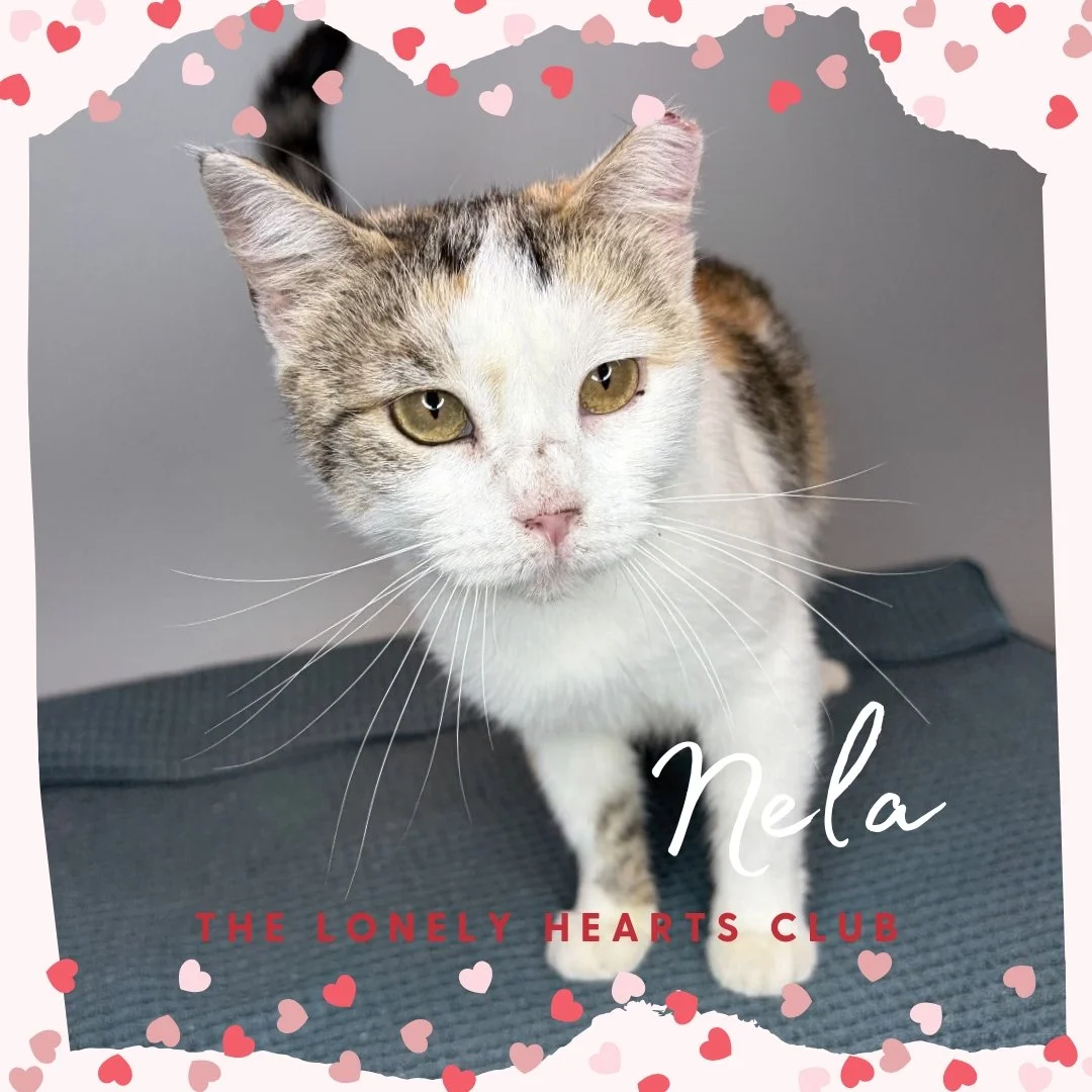 Nela