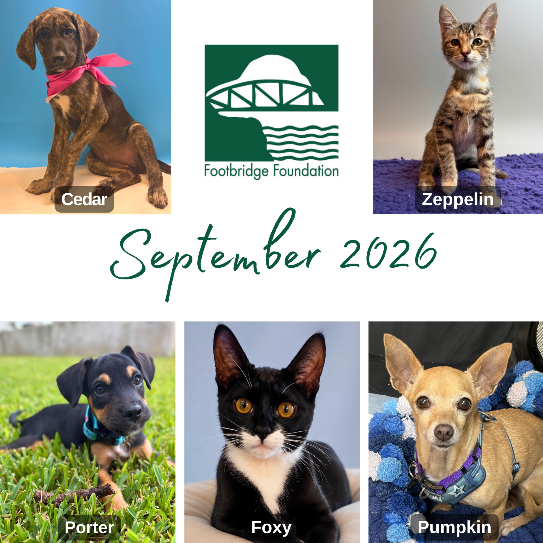 Monthly Newsletter Graphics-10_1.png
