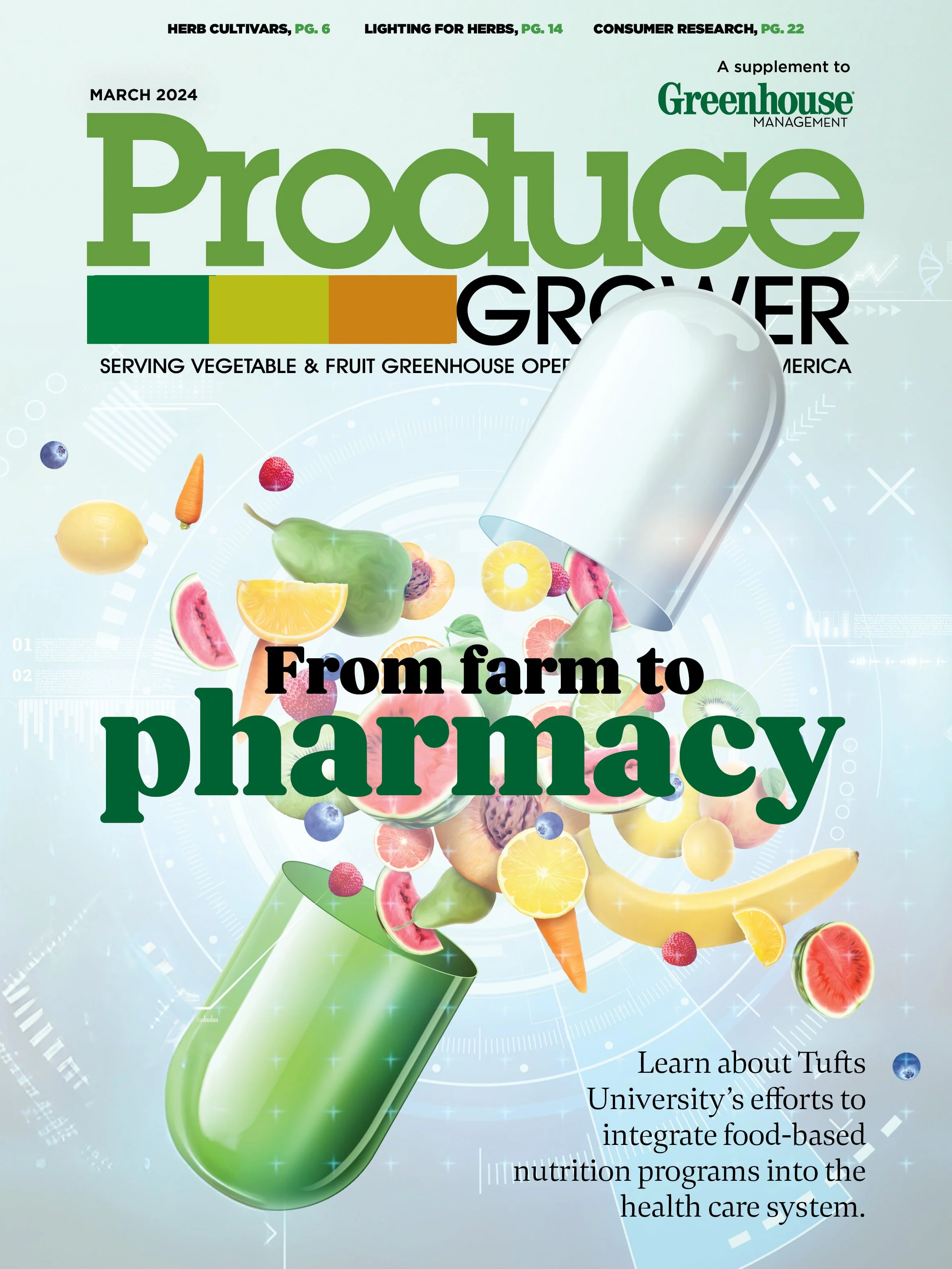 cover_7.875 x 10.5.jpg
