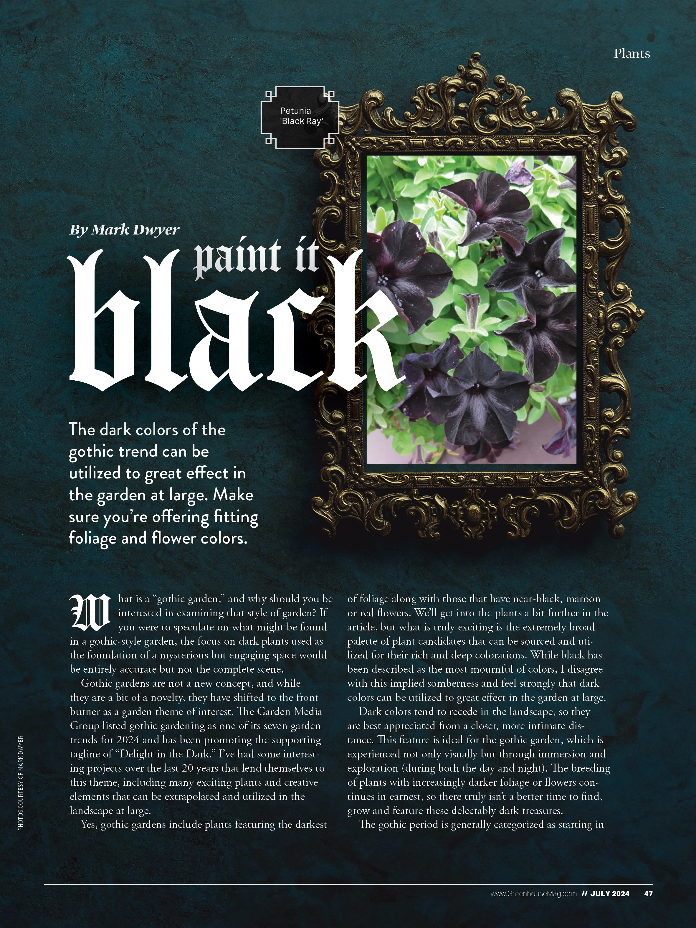 Gothic plants.jpg