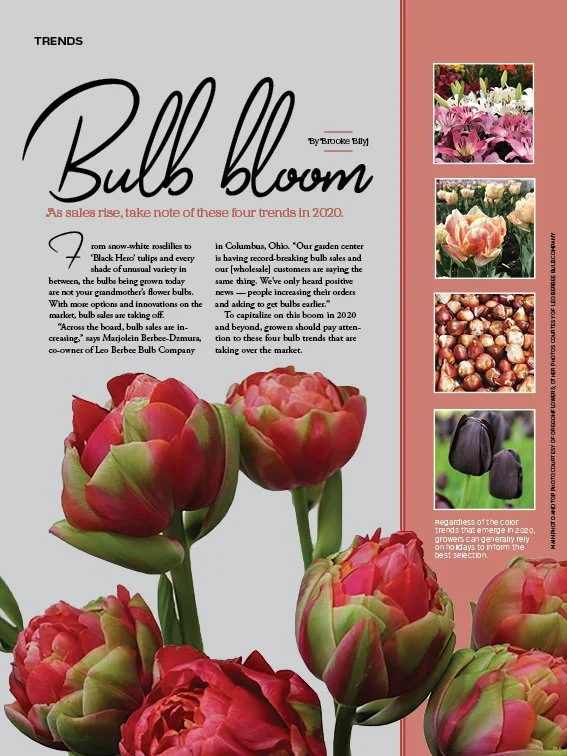 1219_bulbs.jpg