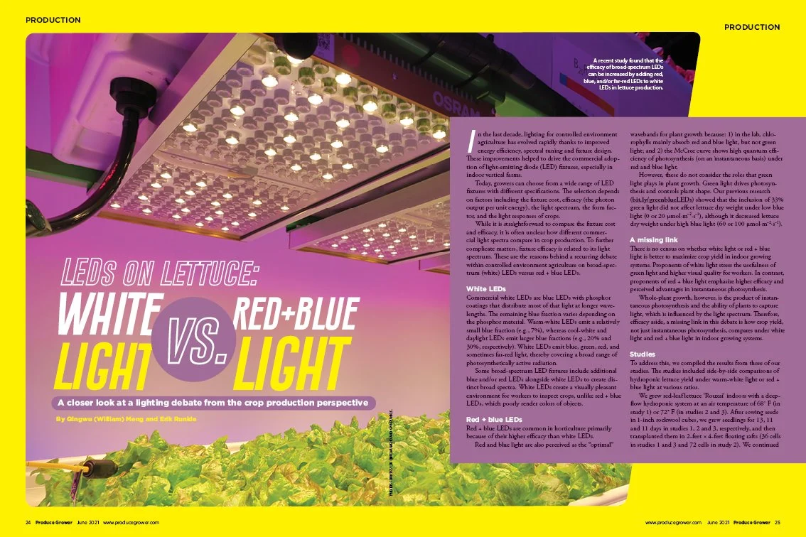 runkle lighting.jpg