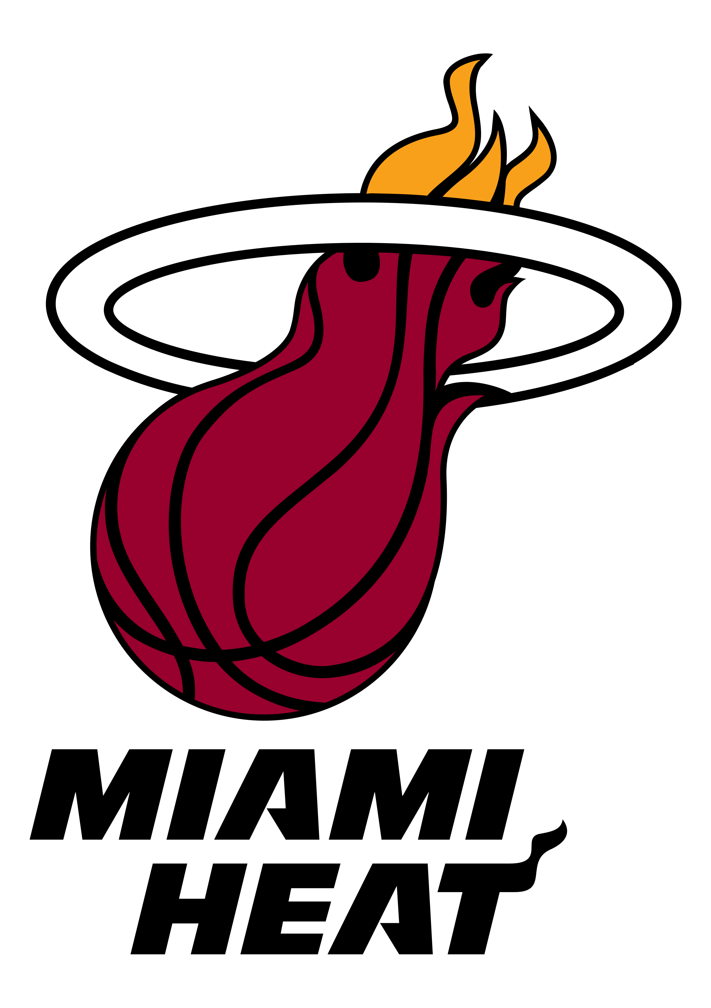 miami heat.png