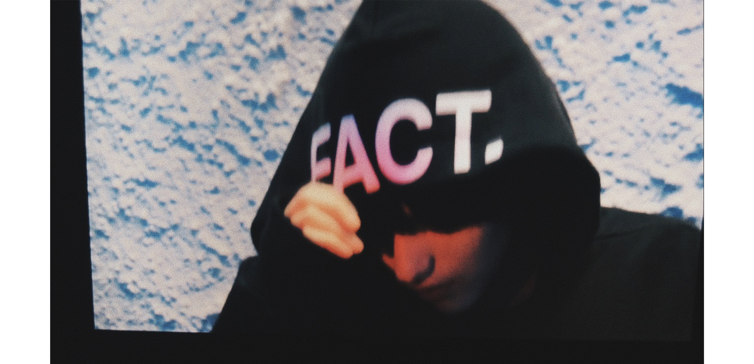 FACTJudyGrab.png