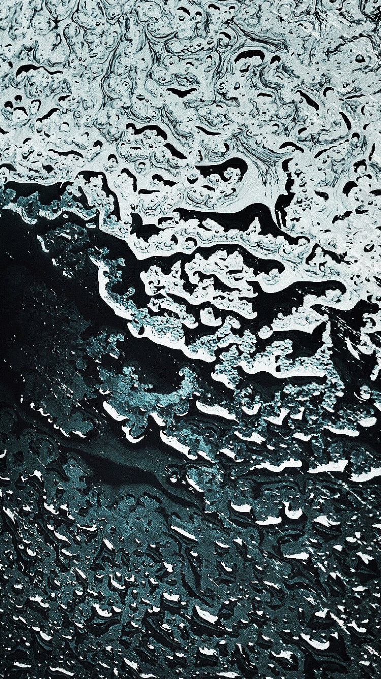 IMG_3481.PNG