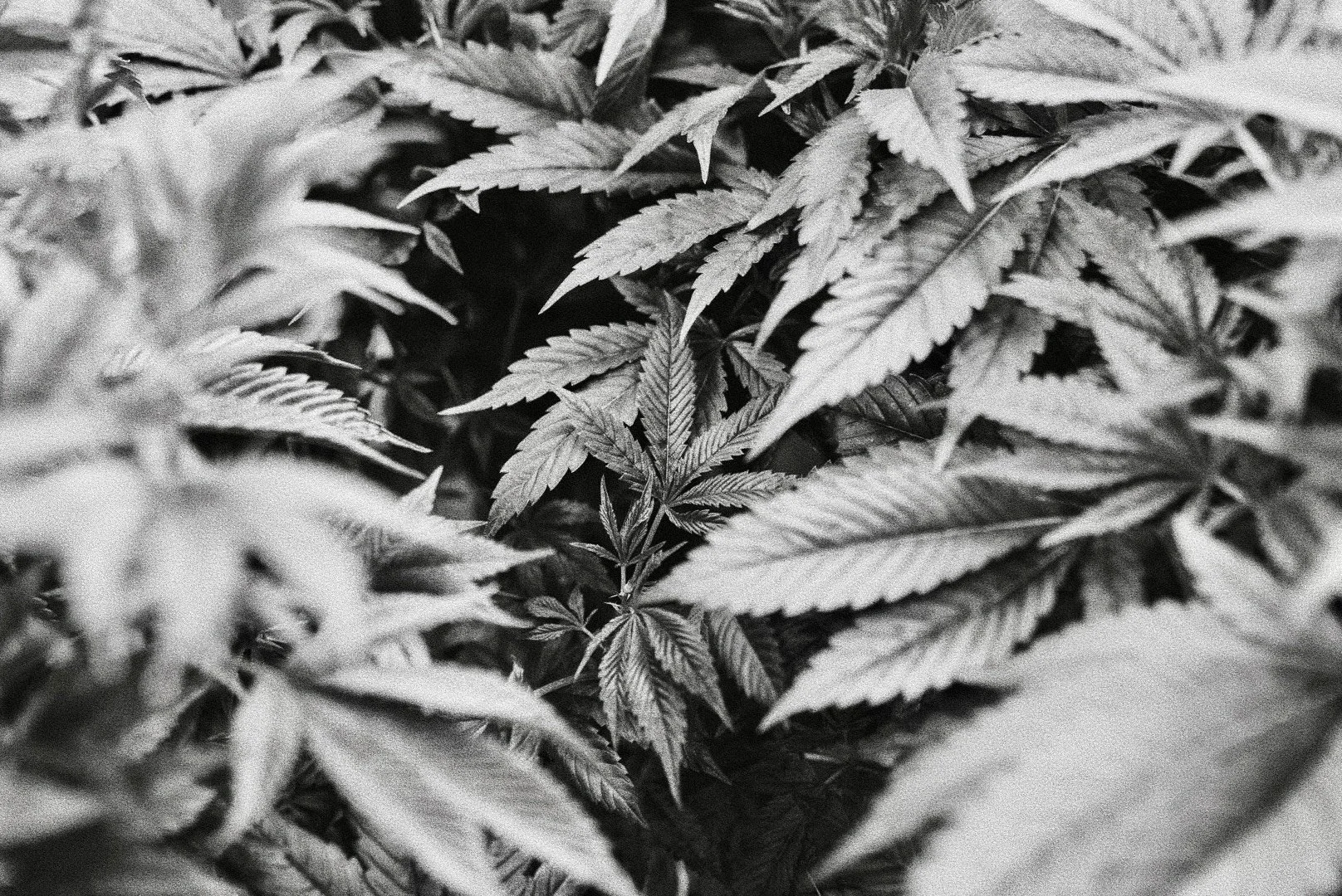 NBP00953_VSCO.jpg