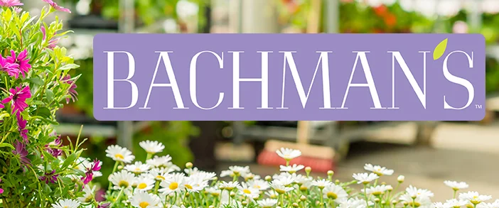 About Partners Banner 01 Bachman's.jpg