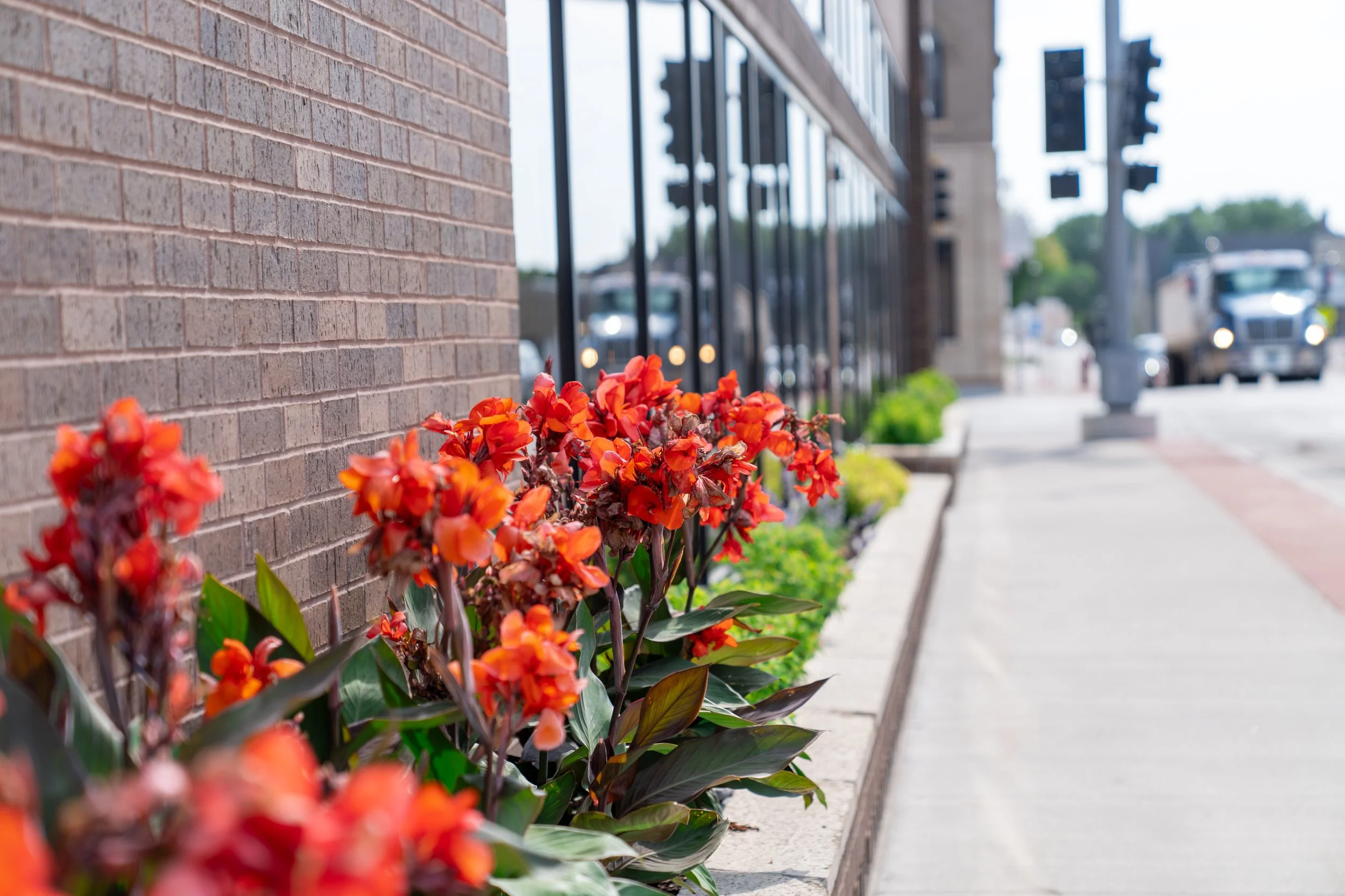 Landscape Bank - Web - 2023-08-4.jpg