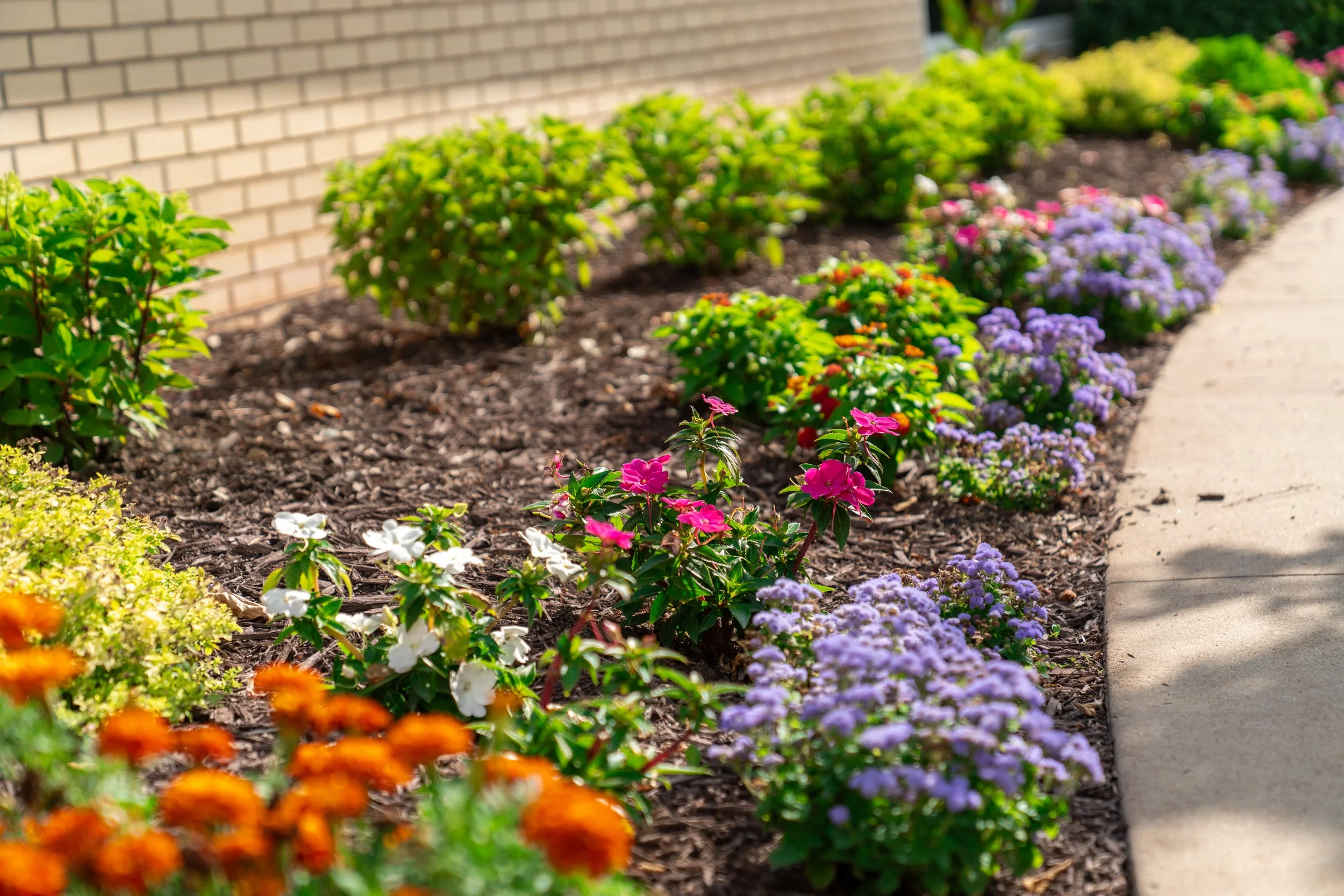 Landscape Hospital - Web - 2023-08-12.jpg