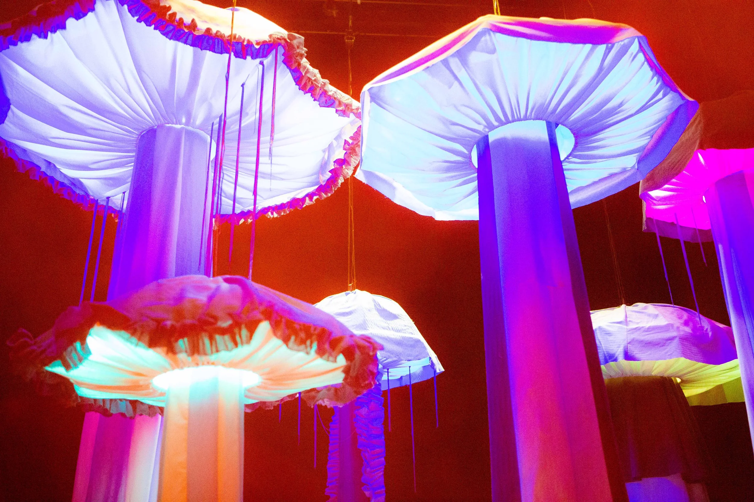 01_24 hemmeligheder_Fotograf Sonja Lovdal.JPEG