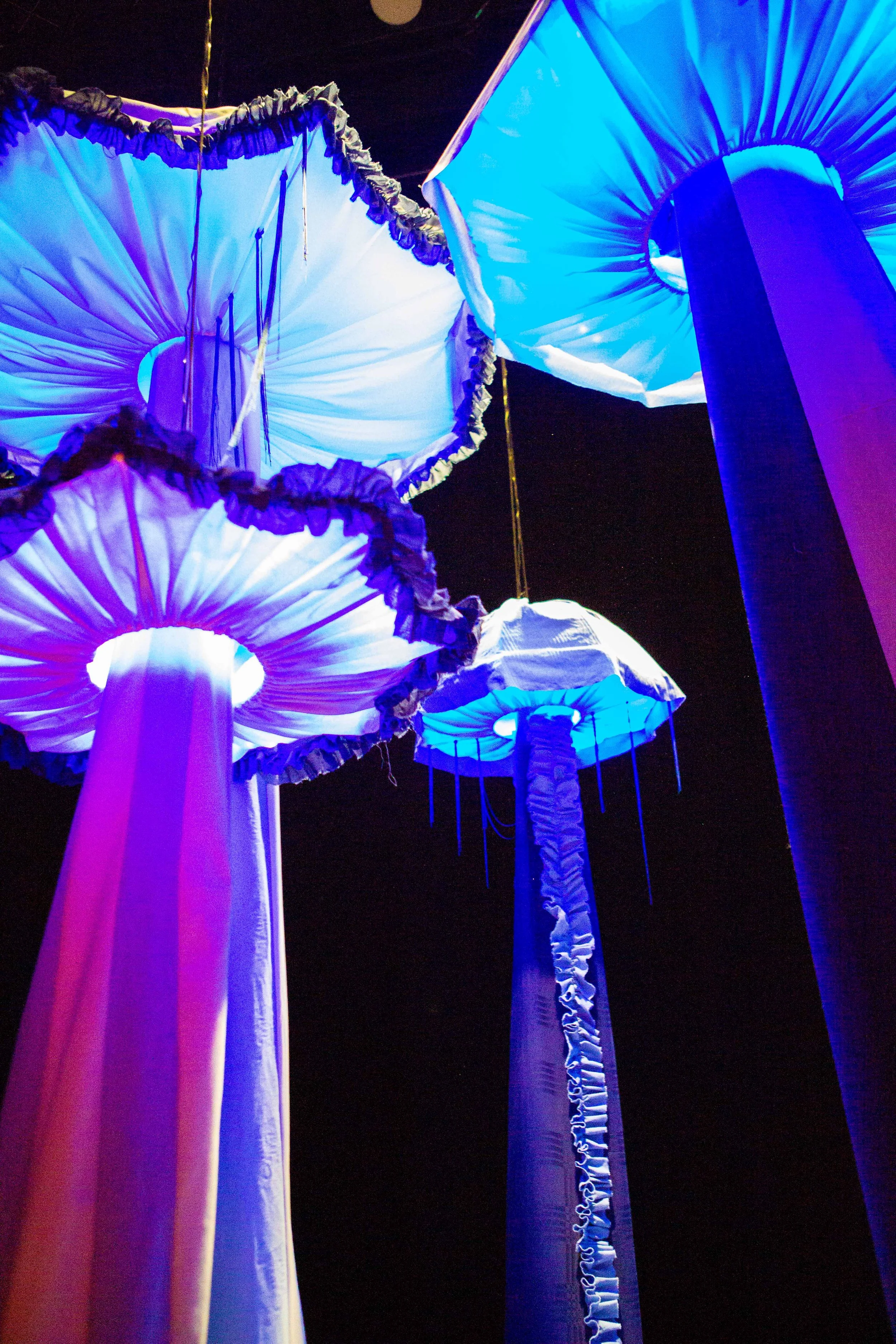 10_24 hemmeligheder_Fotograf Sonja Lovdal.JPEG