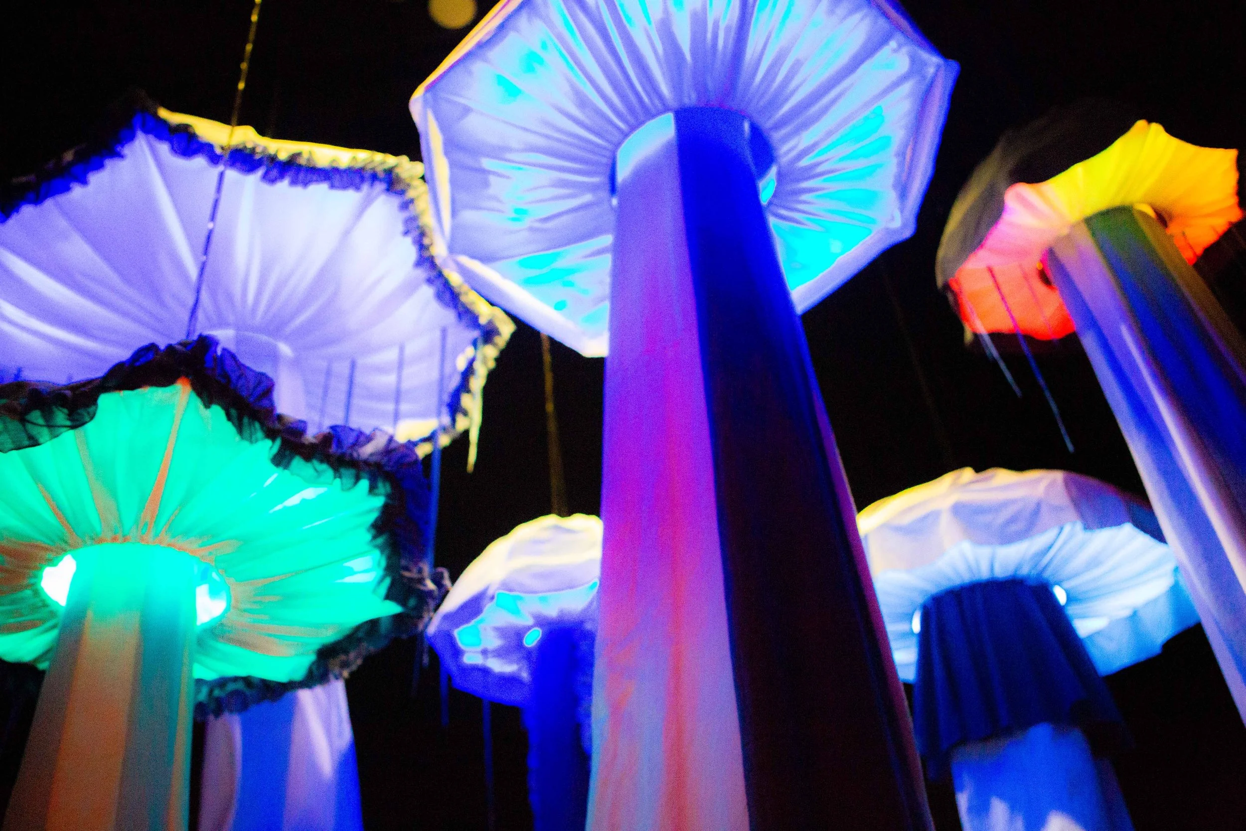 16_24 hemmeligheder_Fotograf Sonja Lovdal.JPEG