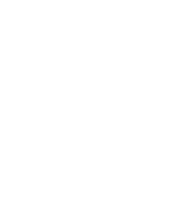 Spindle City Vineyard