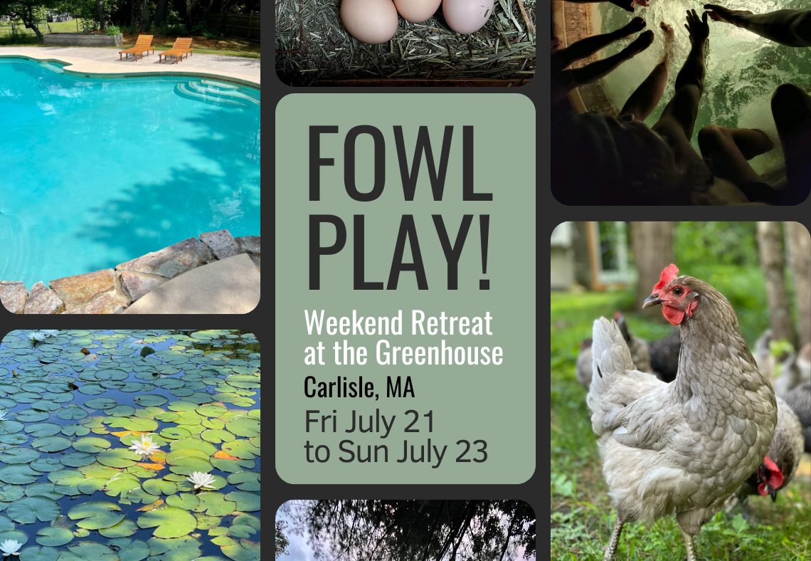 Fowl Play! poster landscape web.png