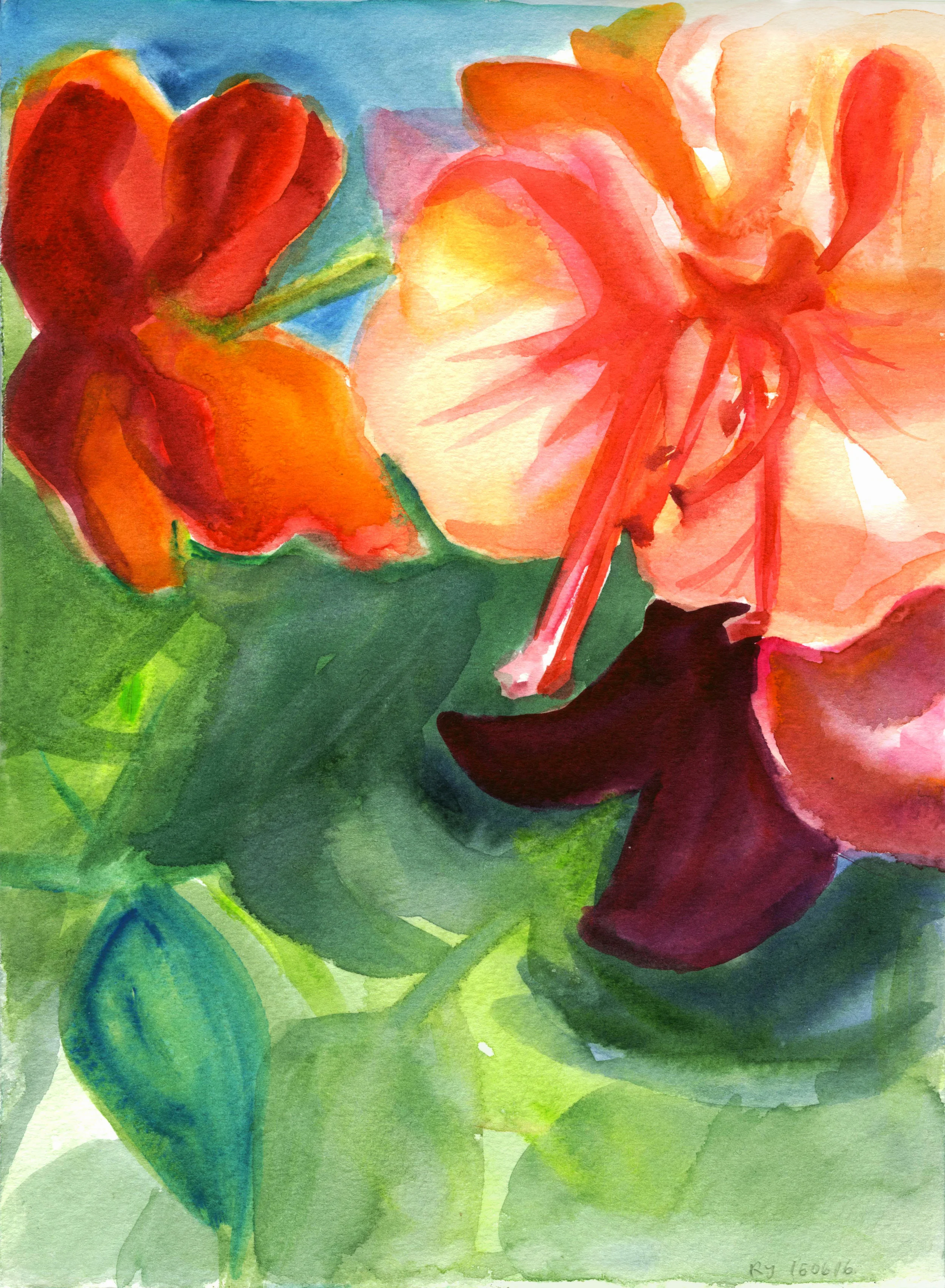 Tropical flowers