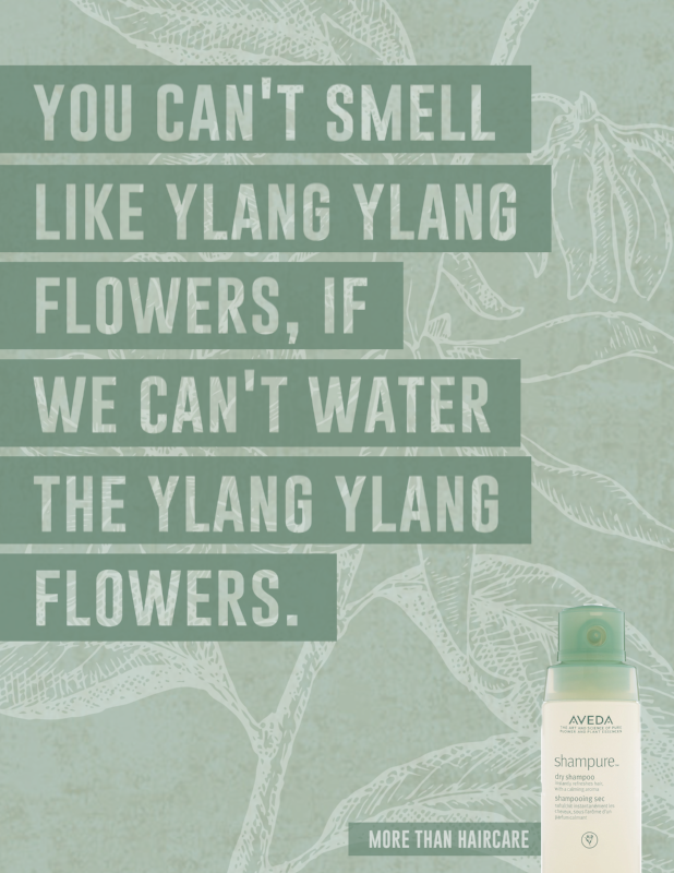 SMELLCare.png