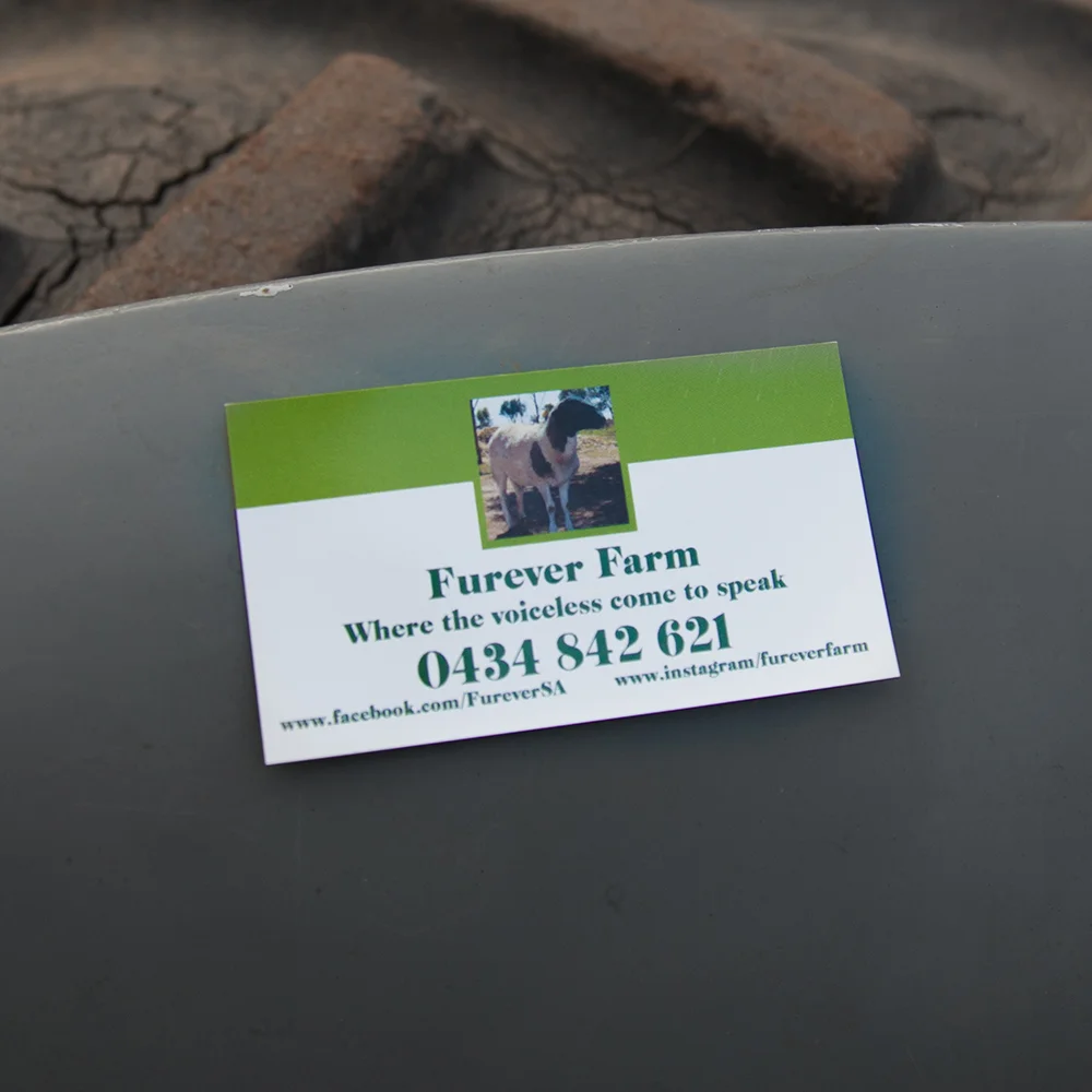 Furever Farm Magnets